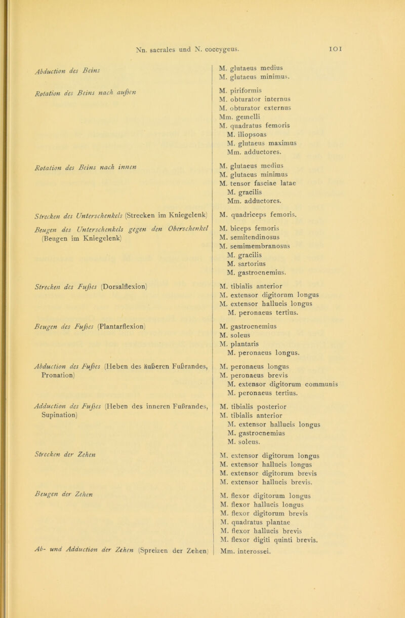 Abduction des Beins M. glutaeus medius M. glutaeus minimus. Rotation des Beins nach außen M. piriformis M. obturator internus M. obturator externus Mm. geinelli M. quadratus femoris M. iliopsoas M. glutaeus maximus Mm. adductores. # Rotation des Beins nach innen M. glutaeus medius M. glutaeus minimus M. tensor fasciae latae M. gracilis Mm. adductores. Strecken des Unterschenkels (Strecken im Kniegelenk) M. quadriceps femoris. Beugen des Unterschenkels gegen den Oberschenkel (Beugen im Kniegelenk) M. biceps femoris M. semitendinosus M. semimembranosus M. gracilis M. sartorius M. gastrocnemius. Strecken des Fußes (Dorsalflexion) M. tibialis anterior M. extensor digitorum longus M. extensor hallucis longus M. peronaeus tertius. Beugen des Fußes (Plantarflexion) M. gastrocnemius M. soleus M. plantaris M. peronaeus longus. Abduction des Fußes (Heben des äußeren Fußrandes, Pronation) M. peronaeus longus M. peronaeus brevis M. extensor digitorum communis M. peronaeus tertius. Adduction des Fußes (Heben des inneren Fußrandes, Supination) M. tibialis posterior M. tibialis anterior M. extensor hallucis longus M. gastrocnemius M. soleus. Strecken der Zehen M. extensor digitorum longus M. extensor hallucis longus M. extensor digitorum brevis M. extensor hallucis brevis. Beugen der Zehen M. flexor digitorum longus M. flexor hallucis longus M. flexor digitorum brevis M. quadratus plantae M. flexor hallucis brevis M. flexor digiti quinti brevis. Ab- und Adduction der Zehen (Spreizen der Zehen Mm. interossei.