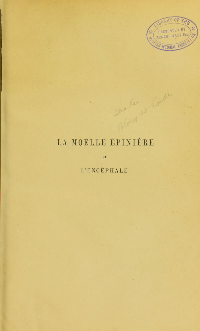 f ê LA MOELLE EPINIERE ET L’ENCÉPHALE ou #