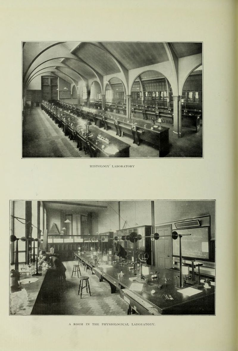 A ROOM IN- THK PIIVSIOI.OC.ICAI, I.AIIOK ATORV.