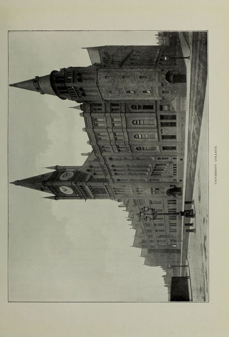 •Hoa'i'ioD AxisnaAiva