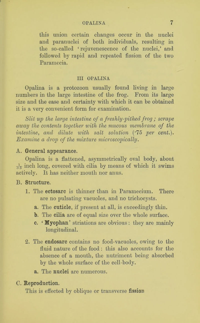 this union certain changes occur in the nuclei and paranuclei of both individuals, resulting in the so-called ‘rejuvenescence of the nuclei,’ and followed by rapid and repeated fission of the two Paramecia. Ill OPALINA Opalina is a protozoon usually found living in large numbers in the large intestine of the frog. From its large size and the ease and certainty with which it can be obtained it is a very convenient form for examination. Slit up the large intestine of a freshly-pithecl frog ; scrape away the contents together with the mucous membrane of the intestine, and dilute with salt solution (’75 per cent.). Examine a drop of the mixture microscopically. A. General appearance. Opalina is a flattened, asymmetrically oval body, about inch long, covered with cilia by means of which it swims actively. It has neither mouth nor anus. B. Structure. 1. The ectosarc is thinner than in Paramecium. There are no pulsating vacuoles, and no trichocysts. a. The cuticle, if present at all, is exceedingly thin. b. The cilia are of equal size over the whole surface. c. ‘ Myophan ’ striations are obvious : they are mainly longitudinal. 2. The endosarc contains no food-vacuoles, owing to the fluid nature of the food: this also accounts for the absence of a mouth, the nutriment being absorbed by the whole surface of the cell-body. a. The nuclei are numerous. C. Reproduction. This is effected by oblique or transverse fission