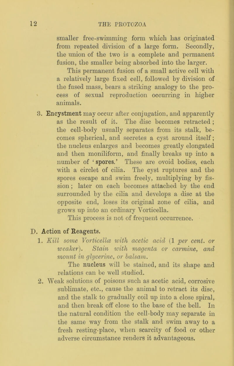 smaller free-swimming form which has originated from repeated division of a large form. Secondly, the union of the two is a complete and permanent fusion, the smaller being absorbed into the larger. This permanent fusion of a small active cell with a relatively large fixed cell, followed by division of the fused mass, bears a striking analogy to the pro- cess of sexual reproduction occurring in higher animals. 3. Encystment may occur after conjugation, and apparently as the result of it. The disc becomes retracted ; the cell-body usually separates from its stalk, be- comes spherical, and secretes a cyst around itself; the nucleus enlarges and becomes greatly elongated and then moniliform, and finally breaks up into a number of ‘spores.’ These are ovoid bodies, each with a circlet of cilia. The cyst ruptures and the spores escape and swim freely, multiplying by fis- sion ; later on each becomes attached by the end surrounded by the cilia and develops a disc at the opposite end, loses its original zone of cilia, and grows up into an ordinary Vorticella. This process is not of frequent occurrence. D. Action of Reagents. 1. Kill some Vorticellce with acetic acid (1 per cent, or lueciker). Stain with magenta or carmine, and mount in glycerine, or balsam. The nucleus will be stained, and its shape and relations can be well studied. 2. Weak solutions of poisons such as acetic acid, corrosive sublimate, etc., cause the animal to retract its disc, and the stalk to gradually coil up into a close spiral, and then break off close to the base of the bell. In the natural condition the cell-body may separate in the same way from the stalk and swim away to a fresh resting-place, when scarcity of food or other adverse circumstance renders it advantageous.