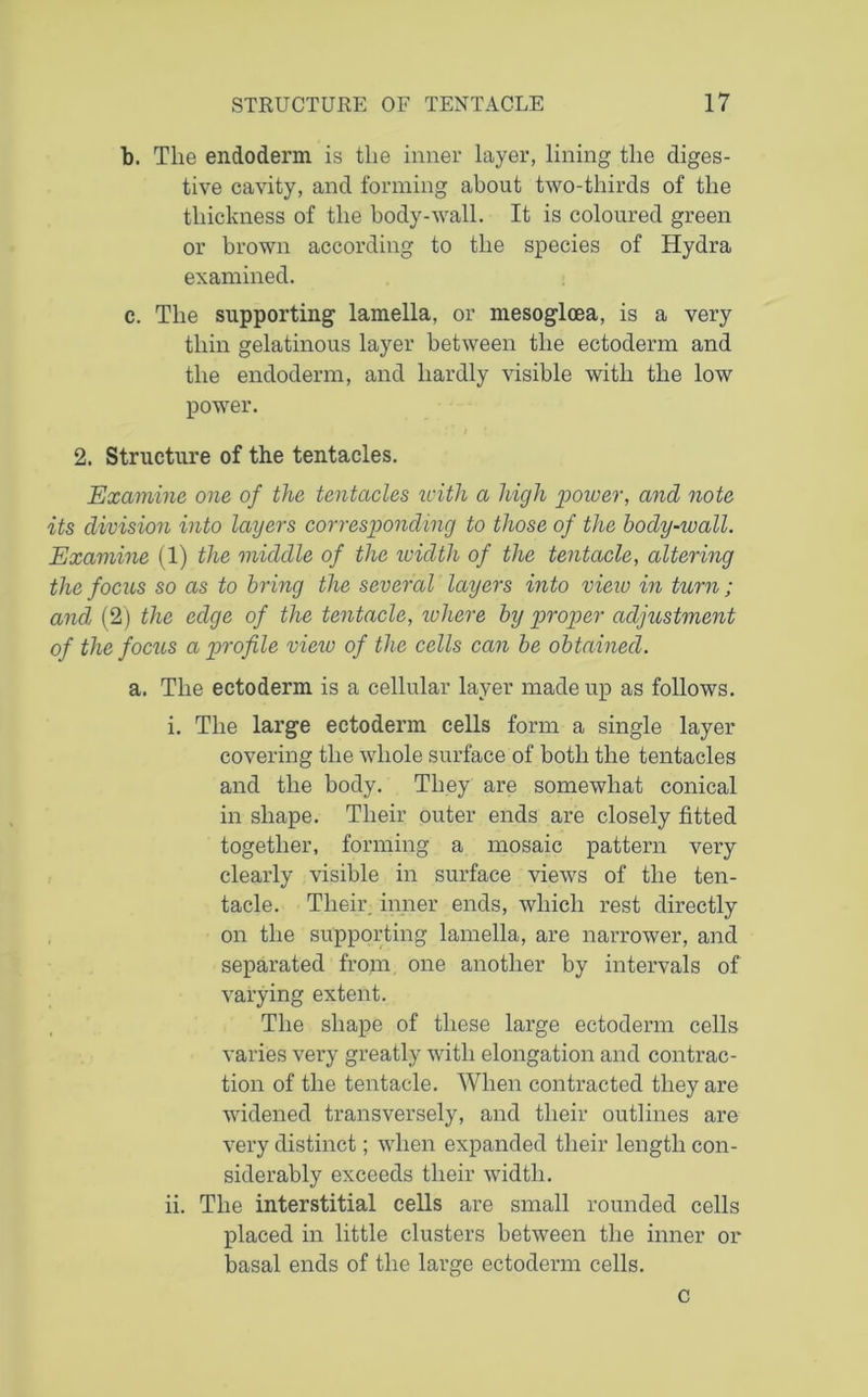 b. The endoderm is the inner layer, lining the diges- tive cavity, and forming about two-thirds of the thickness of the body-wall. It is coloured green or brown according to the species of Hydra examined. c. The supporting lamella, or mesogloea, is a very thin gelatinous layer between the ectoderm and the endoderm, and hardly visible with the low power. 2. Structure of the tentacles. Examine one of the tentacles with a high power, and note its division into layers corresponding to those of the body-wall. Examine (1) the middle of the width of the tentacle, altering the focus so as to bring the several layers into view in turn; and, (2) the edge of the tentacle, where by proper adjustment of the focus a profile view of the cells can be obtained. a. The ectoderm is a cellular layer made up as follows. i. The large ectoderm cells form a single layer covering the whole surface of both the tentacles and the body. They are somewhat conical in shape. Their outer ends are closely fitted together, forming a mosaic pattern very clearly visible in surface views of the ten- tacle. Their inner ends, which rest directly on the supporting lamella, are narrower, and separated from one another by intervals of varying extent. The shape of these large ectoderm cells varies very greatly with elongation and contrac- tion of the tentacle. When contracted they are widened transversely, and their outlines are very distinct; when expanded their length con- siderably exceeds their width. ii. The interstitial cells are small rounded cells placed in little clusters between the inner or basal ends of the large ectoderm cells. c