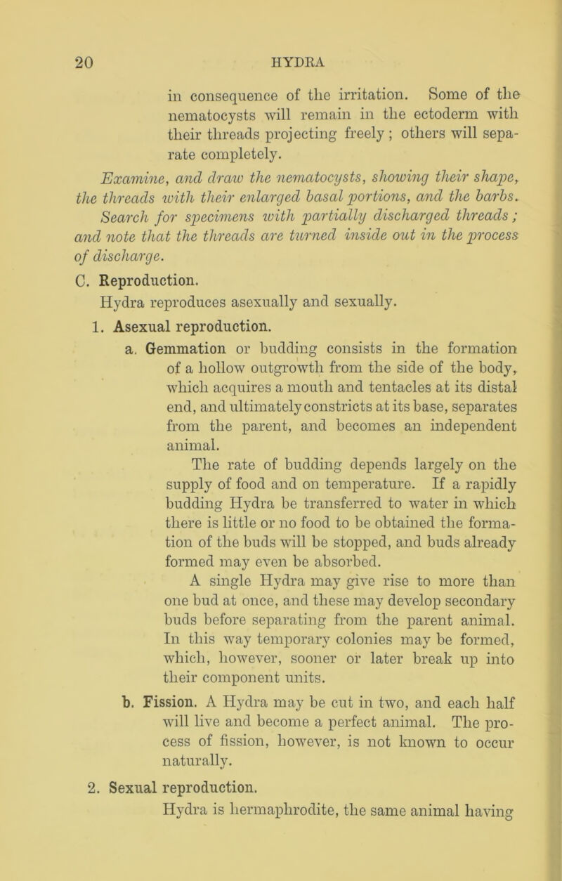 in consequence of the irritation. Some of the nematocysts will remain in the ectoderm with their threads projecting freely ; others will sepa- rate completely. Examine, and draw the nematocysts, showing their shape, the threads with their enlarged basal portions, and the barbs. Search for specimens with partially discharged threads ; and note that the threads are turned inside out in the process of discharge. C. Reproduction. Hydra reproduces asexually and sexually. 1. Asexual reproduction. a. Gemmation or budding consists in the formation of a hollow outgrowth from the side of the body, which acquires a mouth and tentacles at its distal end, and ultimately constricts at its base, separates from the parent, and becomes an independent animal. The rate of budding depends largely on the supply of food and on temperature. If a rapidly budding Hydra be transferred to water in which there is little or no food to be obtained the forma- tion of the buds will be stopped, and buds already formed may even be absorbed. A single Hydra may give rise to more than one bud at once, and these may develop secondary buds before separating from the parent animal. In this way temporary colonies may be formed, which, however, sooner or later break up into their component units. b. Fission. A Hydra may be cut in two, and each half will live and become a perfect animal. The pro- cess of fission, however, is not known to occur naturally. 2. Sexual reproduction. Hydra is hermaphrodite, the same animal having