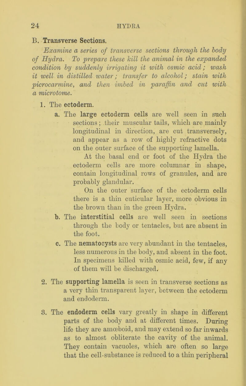 B. Transverse Sections. Examine a series of transverse sections through the body of Hydra. To prepare these hill the animal in the expanded condition by suddenly irrigating it with osmic acid; wash it well in distilled water; transfer to alcohol; stain with picrocarmine, and then imbed in paraffin and cut with a microtome. 1. Tlie ectoderm. a. The large ectoderm cells are well seen in such sections ; their muscular tails, which are mainly longitudinal in direction, are cut transversely, and appear as a row of highly refractive dots on the outer surface of the supporting lamella. At the basal end or foot of the Hydra the ectoderm cells are more columnar in shape, contain longitudinal rows of granules, and are probably glandular. On the outer surface of the ectoderm cells there is a thin cuticular layer, more obvious in the brown than in the green Hydra. b. The interstitial cells are well seen in sections through the body or tentacles, but are absent in the foot. c. The nematocysts are very abundant in the tentacles, less numerous in the body, and absent in the foot. In specimens killed with osmic acid, few, if any of them will be discharged. 2. The supporting lamella is seen in transverse sections as a very thin transparent layer, between the ectoderm and endoderm. 3. The endoderm cells vary greatly in shape in different parts of the body and at different times. During life they are amoeboid, and may extend so far inwards as to almost obliterate the cavity of the animal. They contain vacuoles, which are often so large that the cell-substance is reduced to a thin peripheral