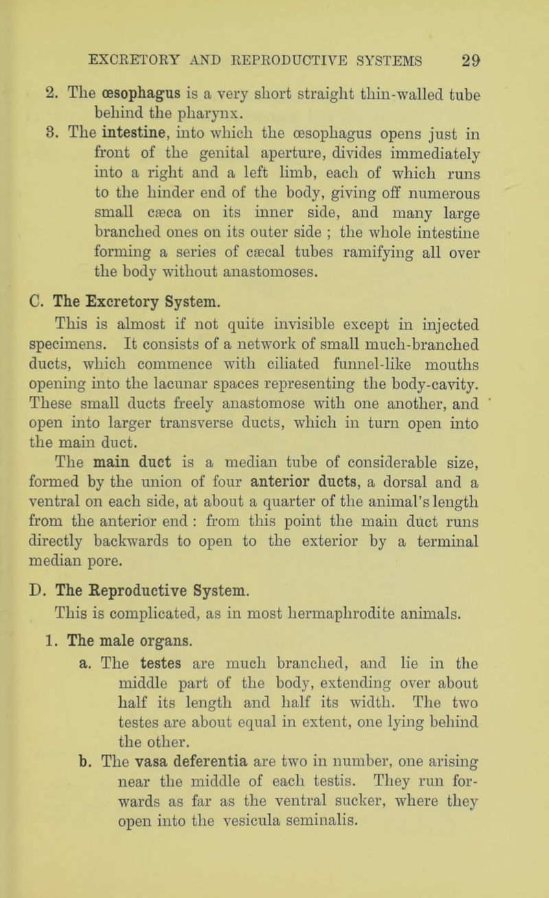 2. Tlie oesophagus is a very short straight thin-walled tube behind the pharynx. 3. The intestine, into which the oesophagus opens just in front of the genital aperture, divides immediately into a right and a left limb, each of which runs to the hinder end of the body, giving off numerous small cjeca on its inner side, and many large branched ones on its outer side ; the whole intestine forming a series of caecal tubes ramifying all over the body without anastomoses. C. The Excretory System. This is almost if not quite invisible except in injected specimens. It consists of a network of small much-branched ducts, which commence with ciliated funnel-like mouths opening into the lacunar spaces representing the body-cavity. These small ducts freely anastomose with one another, and open into larger transverse ducts, which in turn open into the main duct. The main duct is a median tube of considerable size, formed by the union of four anterior ducts, a dorsal and a ventral on each side, at about a quarter of the animal’s length from the anterior end : from this point the main duct runs directly backwards to open to the exterior by a terminal median pore. D. The Reproductive System. This is complicated, as in most hermaphrodite animals. 1. The male organs. a. The testes are much branched, and lie in the middle part of the body, extending over about half its length and half its width. The two testes are about equal in extent, one lying behind the other. b. The vasa deferentia are two in number, one arising near the middle of each testis. They run for- wards as far as the ventral sucker, where they open into the vesicula seminalis.