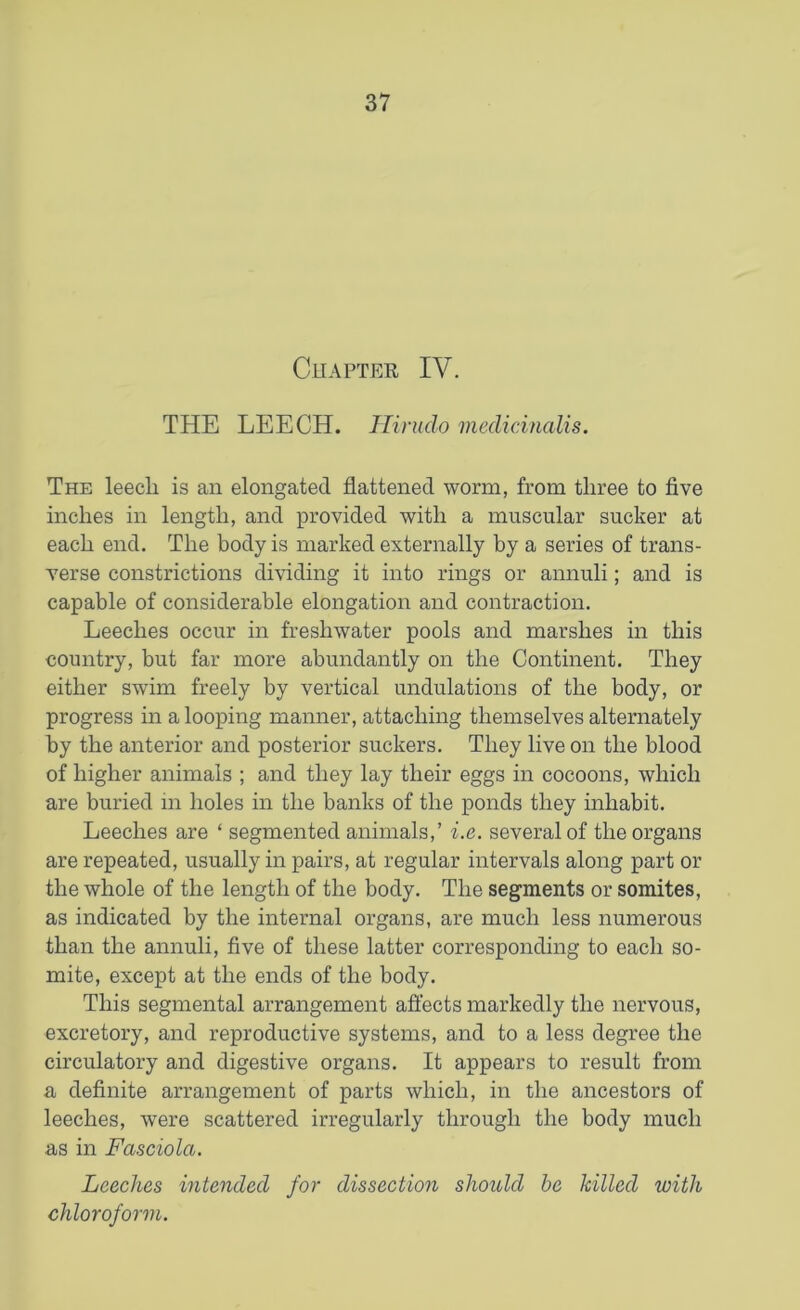 Chapter IV. THE LEECH. Hirnclo medicinalis. The leecli is an elongated flattened worm, from three to five inches in length, and provided with a muscular sucker at each end. The body is marked externally by a series of trans- verse constrictions dividing it into rings or annuli; and is capable of considerable elongation and contraction. Leeches occur in freshwater pools and marshes in this country, but far more abundantly on the Continent. They either swim freely by vertical undulations of the body, or progress in a looping manner, attaching themselves alternately by the anterior and posterior suckers. They live on the blood of higher animals ; and they lay their eggs in cocoons, which are buried in holes in the banks of the ponds they inhabit. Leeches are ‘ segmented animals,’ i.e. several of the organs are repeated, usually in pairs, at regular intervals along part or the whole of the length of the body. The segments or somites, as indicated by the internal organs, are much less numerous than the annuli, five of these latter corresponding to each so- mite, except at the ends of the body. This segmental arrangement affects markedly the nervous, excretory, and reproductive systems, and to a less degree the circulatory and digestive organs. It appears to result from a definite arrangement of parts which, in the ancestors of leeches, were scattered irregularly through the body much as in Fasciola. Leeches intended for dissection should be killed with chloroform.
