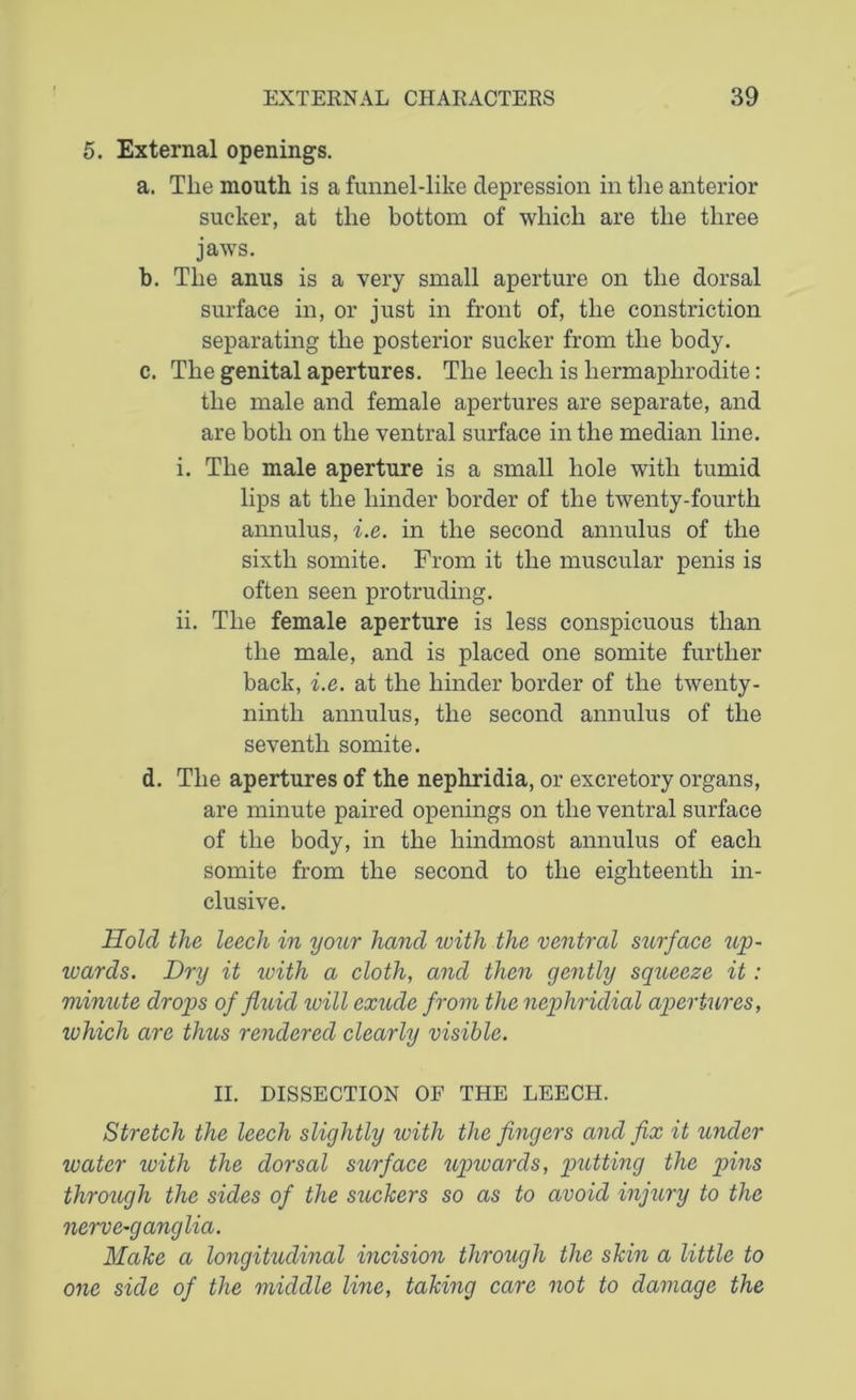 5. External openings. a. The mouth is a funnel-like depression in the anterior sucker, at the bottom of which are the three jaws. b. The anus is a very small aperture on the dorsal surface in, or just in front of, the constriction separating the posterior sucker from the body. c. The genital apertures. The leech is hermaphrodite: the male and female apertures are separate, and are both on the ventral surface in the median line. i. The male aperture is a small hole with tumid lips at the hinder border of the twenty-fourth annulus, i.e. in the second annulus of the sixth somite. From it the muscular penis is often seen protruding. ii. The female aperture is less conspicuous than the male, and is placed one somite further back, i.e. at the hinder border of the twenty- ninth annulus, the second annulus of the seventh somite. d. The apertures of the nephridia, or excretory organs, are minute paired openings on the ventral surface of the body, in the hindmost annulus of each somite from the second to the eighteenth in- clusive. Hold the leech in your hand with the ventral surface up- wards. Dry it with a cloth, and then gently squeeze it: minute drops of fluid will exude from the nephridial apertures, which are thus rendered clearly visible. II. DISSECTION OF THE LEECH. Stretch the leech slightly with the fingers and fix it under water with the dorsal surface upwards, putting the pins through the sides of the suckers so as to avoid injury to the nerve-ganglia. Make a longitudinal incision through the skin a little to one side of the middle line, taking care not to damage the