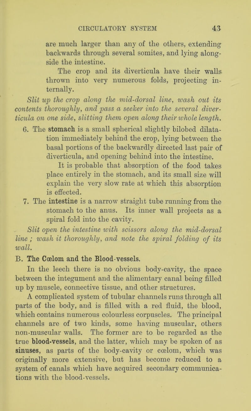 are much larger than any of the others, extending backwards through several somites, and lying along- side the intestine. The crop and its diverticula have their walls thrown into very numerous folds, projecting in- ternally. Slit up the crop along the mid-clorsal line, wash out its contents thoroughly, and pass a seeher into the several diver- ticula on one side, slitting them open along their whole length. G. The stomach is a small spherical slightly bilobed dilata- tion immediately behind the crop, lying between the basal portions of the backwardly directed last pair of diverticula, and opening behind into the intestine. It is probable that absorption of the food takes place entirely in the stomach, and its small size will explain the very slow rate at which this absorption is effected. 7. The intestine is a narrow straight tube running from the stomach to the anus. Its inner wall projects as a spiral fold into the cavity. Slit open the intestine with scissors along the mid-clorsal line ; wash it thoroughly, and note the spiral folding of its wall. B. The Coelom and the Blood-vessels. In the leech there is no obvious body-cavity, the space between the integument and the alimentary canal being filled up by muscle, connective tissue, and other structures. A complicated system of tubular channels runs through all parts of the body, and is filled with a red fluid, the blood, which contains numerous colourless corpuscles. The principal channels are of two kinds, some having muscular, others non-muscular walls. The former are to be regarded as the true blood-vessels, and the latter, which may be spoken of as sinuses, as parts of the body-cavity or coelom, which was originally more extensive, but has become reduced to a system of canals which have acquired secondary communica- tions with the blood-vessels.
