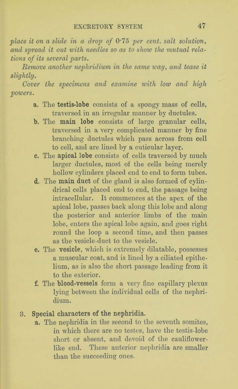 place it on a slide in a drop of O'75 per cent, salt solution, and spread it out with needles so as to shoio the mutual rela- tions of its several parts. Remove another nephridium in the same way, and tease it slightly. Cover the specimens and examine with low and high powers. a. The testis-lobe consists of a spongy mass of cells, traversed in an irregular manner by ductules. b. The main lobe consists of large granular cells, traversed in a very complicated manner by fine branching ductules which pass across from cell to cell, and are lined by a cuticular layer. c. The apical lobe consists of cells traversed by much larger ductules, most of the cells being merely hollow cylinders placed end to end to form tubes. d. The main duct of the gland is also formed of cylin- drical cells placed end to end, the passage being intracellular. It commences at the apex of the apical lobe, passes back along this lobe and along the posterior and anterior limbs of the main lobe, enters the apical lobe again, and goes right round the loop a second time, and then passes as the vesicle-duct to the vesicle. e. The vesicle, which is extremely dilatable, possesses a muscular coat, and is lined by a ciliated epithe- lium, as is also the short passage leading from it to the exterior. f. The blood-vessels form a very fine capillary plexus lying between the individual cells of the nephri- dium. 3. Special characters of the nephridia. a. The nephridia in the second to the seventh somites, in which there are no testes, have the testis-lobe short or absent, and devoid of the cauliflower- like end. These anterior nephridia are smaller than the succeeding ones.