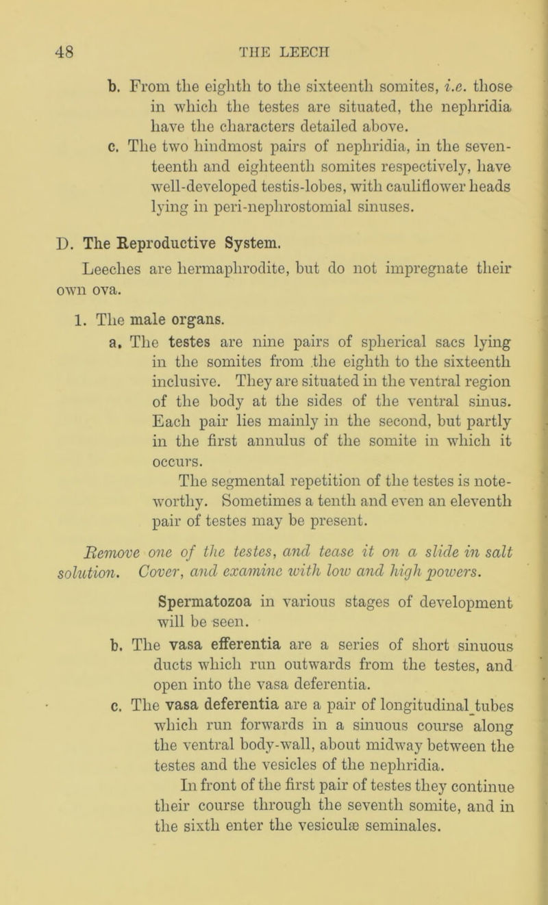 b. From tlie eighth to the sixteenth somites, i.e. those in which the testes are situated, the nephridia have the characters detailed above. c. The two hindmost pairs of nephridia, in the seven- teenth and eighteenth somites respectively, have well-developed testis-lobes, with cauliflower heads lying in peri-neplirostomial sinuses. D. The Reproductive System. Leeches are hermaphrodite, but do not impregnate their own ova. 1. The male organs. a. The testes are nine pairs of spherical sacs lying in the somites from .the eighth to the sixteenth inclusive. They are situated in the ventral region of the body at the sides of the ventral sinus. Each pair lies mainly in the second, but partly in the first annulus of the somite in which it occurs. The segmental repetition of the testes is note- worthy. Sometimes a tenth and even an eleventh pair of testes may be present. Remove one of the testes, and tease it on a slide in salt solution. Cover, and examine with loio and high powers. Spermatozoa in various stages of development will be seen. b. The vasa efferentia are a series of short sinuous ducts which run outwards from the testes, and open into the vasa deferentia. c. The vasa deferentia are a pair of longitudinal tubes which run forwards in a sinuous course along the ventral body-wall, about midway between the testes and the vesicles of the nephridia. In front of the first pair of testes they continue their course through the seventh somite, and in the sixth enter the vesicuke seminales.