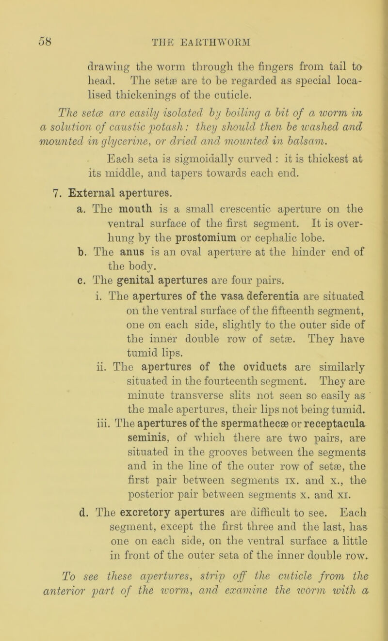 drawing the worm through the fingers from tail to head. The setae are to be regarded as special loca- lised thickenings of the cuticle. The setce are easily isolated by boiling a bit of a worm in a solution of caustic potash: they should then be washed and mounted in glycerine, or dried and mounted in balsam. Each seta is sigmoidally curved : it is thickest at its middle, and tapers towards each end. 7. External apertures. a. The mouth is a small crescentic aperture on the ventral surface of the first segment. It is over- hung by the prostomium or cephalic lobe. b. The anus is an oval aperture at the hinder end of the body. c. The genital apertures are four pairs. i. The apertures of the vasa deferentia are situated on the ventral surface of the fifteenth segment, one on each side, slightly to the outer side of the inner double row of setfe. They have tumid lips. ii. The apertures of the oviducts are similarly situated in the fourteenth segment. They are minute transverse slits not seen so easily as the male apertures, their lips not being tumid. iii. The apertures of the spermathecse or receptacula seminis, of which there are two pairs, are situated in the grooves between the segments and in the line of the outer row of setae, the first pair between segments ix. and x., the posterior pair between segments x. and xi. d. The excretory apertures are difficult to see. Each segment, except the first three and the last, lias one on each side, on the ventral surface a little in front of the outer seta of the inner double row. To see these apertures, strip off the cuticle from the anterior part of the worm, and examine the ivorm with a