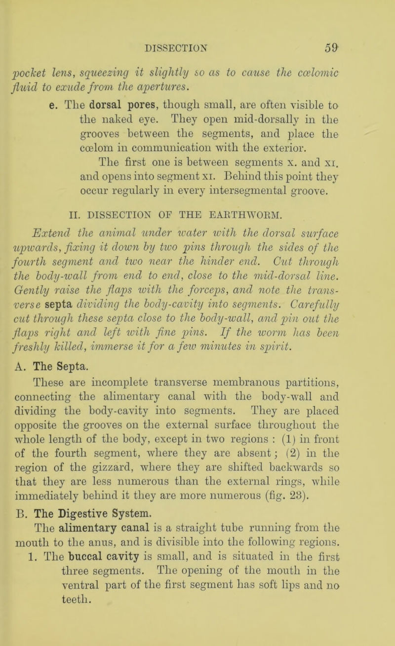 'pocket lens, squeezing it slightly so as to cause the ccelomic fluid to cxucle from the apertures. e. The dorsal pores, though small, are often visible to the naked eye. They open mid-dorsally in the grooves between the segments, and place the coelom in communication with the exterior. The first one is between segments x. and xi. and opens into segment xi. Behind this point they occur regularly in every intersegmental groove. II. DISSECTION OF THE EARTHWOKM. Extend the animal under mater icith the dorsal surface upwards, fixing it down by two pins through the sides of the fourth segment and two near the hinder end. Cut through the body-wall from end to end, close to the mid-dorsal line. Gently raise the flaps with the forceps, and note the trans- verse septa dividing the body-cavity into segments. Carefully cut through these septa close to the body-wall, and pin out the flaps right and left with fine pins. If the worm has been freshly killed, immerse it for a few minutes in spirit. A. The Septa. These are incomplete transverse membranous partitions, connecting the alimentary canal with the body-wall and dividing the body-cavity into segments. They are placed opposite the grooves on the external surface throughout the whole length of the body, except in two regions : (1) in front of the fourth segment, where they are absent; (2) in the region of the gizzard, where they are shifted backwards so that they are less numerous than the external rings, while immediately behind it they are more numerous (fig. 23). B. The Digestive System. The alimentary canal is a straight tube running from the mouth to the anus, and is divisible into the following regions. 1. The buccal cavity is small, and is situated in the first three segments. The opening of the mouth in the ventral part of the first segment has soft lips and no teeth.