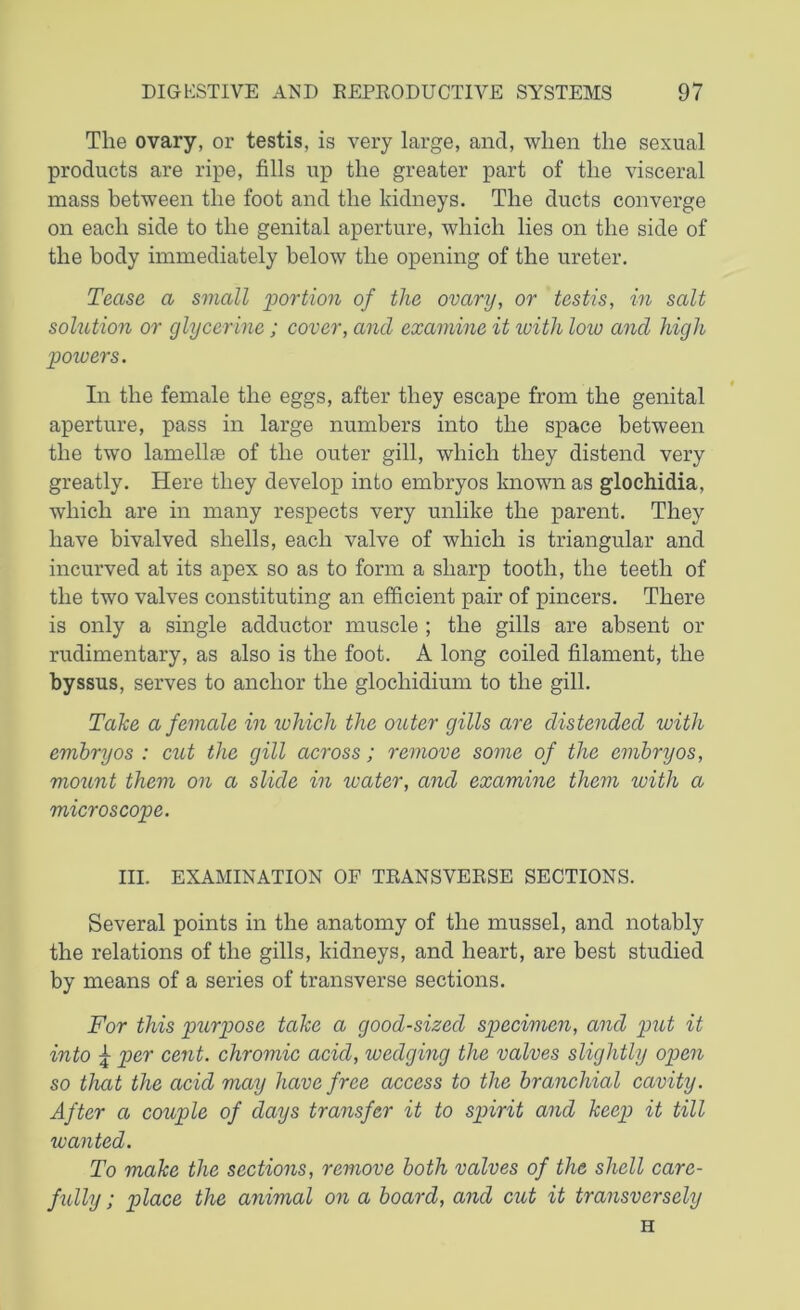 The ovary, or testis, is very large, and, when the sexual products are ripe, fills up the greater part of the visceral mass between the foot and the kidneys. The ducts converge on each side to the genital aperture, which lies on the side of the body immediately below the opening of the ureter. Tease a small portion of the ovary, or testis, in salt solution or glycerine; cover, and examine it with low and high poivers. In the female the eggs, after they escape from the genital aperture, pass in large numbers into the space between the two lamellae of the outer gill, which they distend very greatly. Here they develop into embryos known as glochidia, which are in many respects very unlike the parent. They have bivalved shells, each valve of which is triangular and incurved at its apex so as to form a sharp tooth, the teeth of the two valves constituting an efficient pair of pincers. There is only a single adductor muscle ; the gills are absent or rudimentary, as also is the foot. A long coiled filament, the byssus, serves to anchor the glochidium to the gill. Take a female in which the outer gills are distended with embryos : cut the gill across; remove some of the embryos, mount them on a slide in water, and examine them with a microscope. III. EXAMINATION OF TRANSVERSE SECTIONS. Several points in the anatomy of the mussel, and notably the relations of the gills, kidneys, and heart, are best studied by means of a series of transverse sections. For this purpose take a good-sized specimen, and put it into \ per cent, chromic acid, wedging the valves slightly open so that the acid may have free access to the branchial cavity. After a couple of days transfer it to spirit and keep it till wanted. To make the sections, remove both valves of the shell care- fully ; place the animal on a board, and cut it transversely H