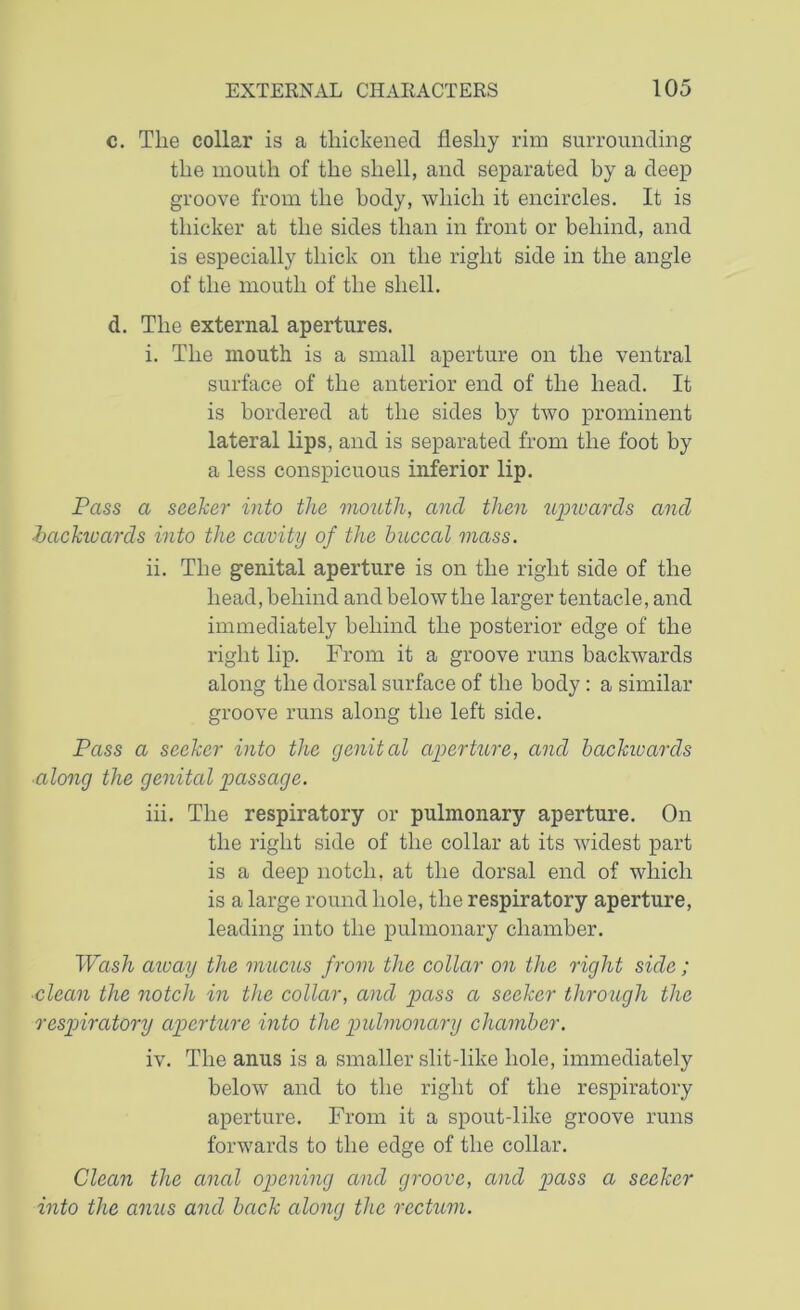 c. The collar is a thickened fleshy rim surrounding the mouth of the shell, and separated by a deep groove from the body, which it encircles. It is thicker at the sides than in front or behind, and is especially thick on the right side in the angle of the mouth of the shell. d. The external apertures. i. The mouth is a small aperture on the ventral surface of the anterior end of the head. It is bordered at the sides by two prominent lateral lips, and is separated from the foot by a less conspicuous inferior lip. Pass a seeker into the mouth, and then upwards and backwards into the cavity of the buccal mass. ii. The genital aperture is on the right side of the head, behind and below the larger tentacle, and immediately behind the posterior edge of the right lip. From it a groove runs backwards along the dorsal surface of the body: a similar groove runs along the left side. Pass a seeker into the genital aperture, and backivards along the genital passage. iii. The respiratory or pulmonary aperture. On the right side of the collar at its widest part is a deep notch, at the dorsal end of which is a large round hole, the respiratory aperture, leading into the pulmonary chamber. Wash away the mucus from the collar on the right side; clean the notch in the collar, and pass a seeker through the respiratory aperture into the pulmonary chamber. iv. The anus is a smaller slit-like hole, immediately below and to the right of the respiratory aperture. From it a spout-like groove runs forwards to the edge of the collar. Clean the anal opening and groove, and pass a seeker into the anus and back along the rectum.