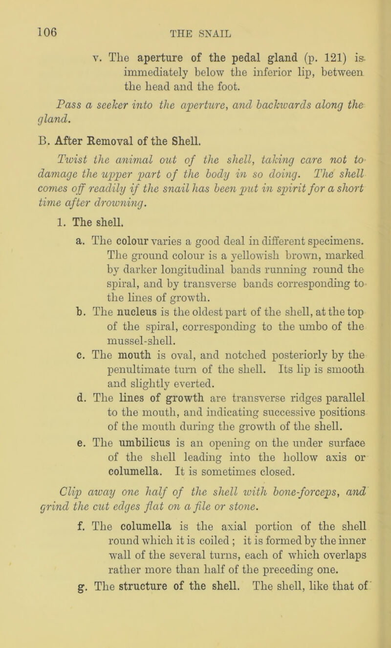 v. The aperture of the pedal gland (p. 121) is- immediately below the inferior lip, between the head and the foot. Pass a seeker into the aperture, and backivards along the gland. B. After Removal of the Shell. Twist the animal out of the shell, taking care not to damage the upper part of the body in so doing. The shell comes off readily if the snail has been put in spirit for a short time after drowning. 1. The shell. a. The colour varies a good deal in different specimens. The ground colour is a yellowish brown, marked by darker longitudinal bands running round the spiral, and by transverse bands corresponding to the lines of growth. b. The nucleus is the oldest part of the shell, at the top of the spiral, corresponding to the umbo of the mussel-shell. c. The mouth is oval, and notched posteriorly by the penultimate turn of the shell. Its lip is smooth and slightly everted. d. The lines of growth are transverse ridges parallel to the mouth, and indicating successive positions of the mouth during the growth of the shell. e. The umbilicus is an opening on the under surface of the shell leading into the hollow axis or columella. It is sometimes closed. Clip away one half of the shell with bone-forceps, and grind the cut edges flat on a file or stone. f. The columella is the axial portion of the shell round which it is coiled ; it is formed by the inner wall of the several turns, each of which overlaps rather more than half of the preceding one. g. The structure of the shell. The shell, like that of