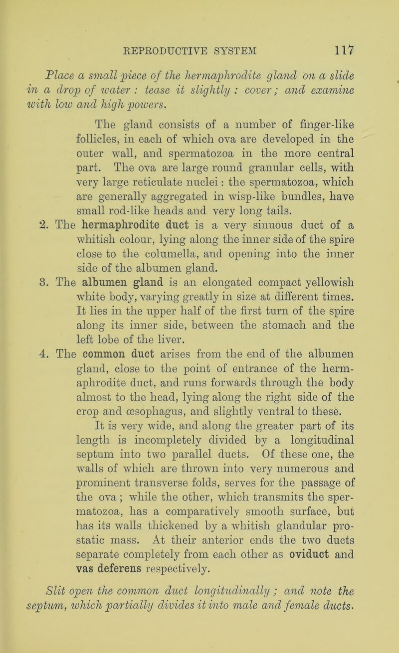 Place a small 'piece of the hermaphrodite gland on a slide in a drop of water : tease it slightly : cover; and examine with loio and high powers. The gland consists of a number of finger-like follicles, in each of which ova are developed in the outer wall, and spermatozoa in the more central part. The ova are large round granular cells, with very large reticulate nuclei: the spermatozoa, which are generally aggregated in wisp-like bundles, have small rod-like heads and very long tails. 2. The hermaphrodite duct is a very sinuous duct of a whitish colour, lying along the inner side of the spire close to the columella, and opening into the inner side of the albumen gland. 3. The albumen gland is an elongated compact yellowish white body, varying greatly in size at different times. It lies in the upper half of the first turn of the spire along its inner side, between the stomach and the left lobe of the liver. 4. The common duct arises from the end of the albumen gland, close to the point of entrance of the herm- aphrodite duct, and runs forwards through the body almost to the head, lying along the right side of the crop and oesophagus, and slightly ventral to these. It is very wide, and along the greater part of its length is incompletely divided by a longitudinal septum into two parallel ducts. Of these one, the walls of which are thrown into very numerous and prominent transverse folds, serves for the passage of the ova ; while the other, which transmits the sper- matozoa, has a comparatively smooth surface, but has its walls thickened by a whitish glandular pro- static mass. At their anterior ends the two ducts separate completely from each other as oviduct and vas deferens respectively. Slit open the common duct longitudinally; and note the septum, which partially divides it into male and female ducts.