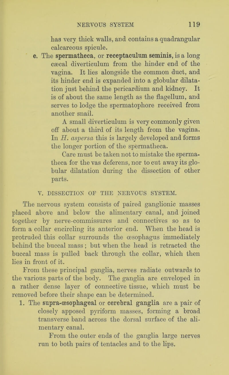 has very thick walls, and contains a quadrangular calcareous spicule. e. The spermatheca, or receptaculum seminis, is a long caecal diverticulum from the hinder end of the vagina. It lies alongside the common duct, and its hinder end is expanded into a globular dilata- tion just behind the pericardium and kidney. It is of about the same length as the flagellum, and serves to lodge the spermatophore received from another snail. A small diverticulum is very commonly given off about a third of its length from the vagina. In H. aspersa this is largely developed and forms the longer portion of the spermatheca. Care must be taken not to mistake the sperma- theca for the vas deferens, nor to cut away its glo- bular dilatation during the dissection of other parts. V. DISSECTION OF THE NERVOUS SYSTEM. The nervous system consists of paired ganglionic masses placed above and below the alimentary canal, and joined together by nerve-commissures and connectives so as to form a collar encircling its anterior end. When the head is protruded this collar surrounds the oesophagus immediately behind the buccal mass ; but when the head is retracted the buccal mass is pulled back through the collar, which then lies in front of it. From these principal ganglia, nerves radiate outwards to the various parts of the body. The ganglia are enveloped in a rather dense layer of connective tissue, which must be removed before their shape can be determined. 1. The supra-cesophageal or cerebral ganglia are a pair of closely apposed pyriform masses, forming a broad transverse band across the dorsal surface of the ali- mentary canal. From the outer ends of the ganglia large nerves run to both pairs of tentacles and to the lips.