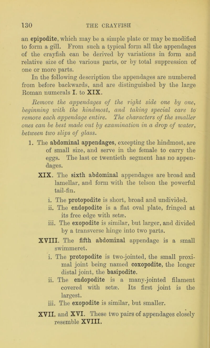 an epipodite, which may be a simple plate or may be modified to form a gill. From such a typical form all the appendages of the crayfish can be derived by variations in form and relative size of the various parts, or by total suppression of one or more parts. In the following description the appendages are numbered from before backwards, and are distinguished by the large Roman numerals I. to XIX. Remove the appendages of the right side one by one, beginning ivitli the hindmost, and taking special care to remove each appendage entire. The characters of the smaller ones can be best made out by examination in a drop of water, betiveen tivo slips of glass. 1. The abdominal appendages, excepting the hindmost, are of small size, and serve in the female to carry the eggs. The last or twentieth segment has no appen- dages. XIX. The sixth abdominal appendages are broad and lamellar, and form with the telson the powerful tail-fin. i. The protopodite is short, broad and undivided. ii. The endopodite is a flat oval plate, fringed at its free edge with setae. iii. The exopodite is similar, but larger, and divided by a transverse hinge into two parts. XVIII. The fifth abdominal appendage is a small swimmeret. i. The protopodite is two-jointed, the small proxi- mal joint being named coxopodite, the longer distal joint, the basipodite. ii. The endopodite is a many-jointed filament covered with setae. Its first joint is the largest. iii. The exopodite is similar, but smaller. XVII. and XVI. These two pairs of appendages closely resemble XVIII.