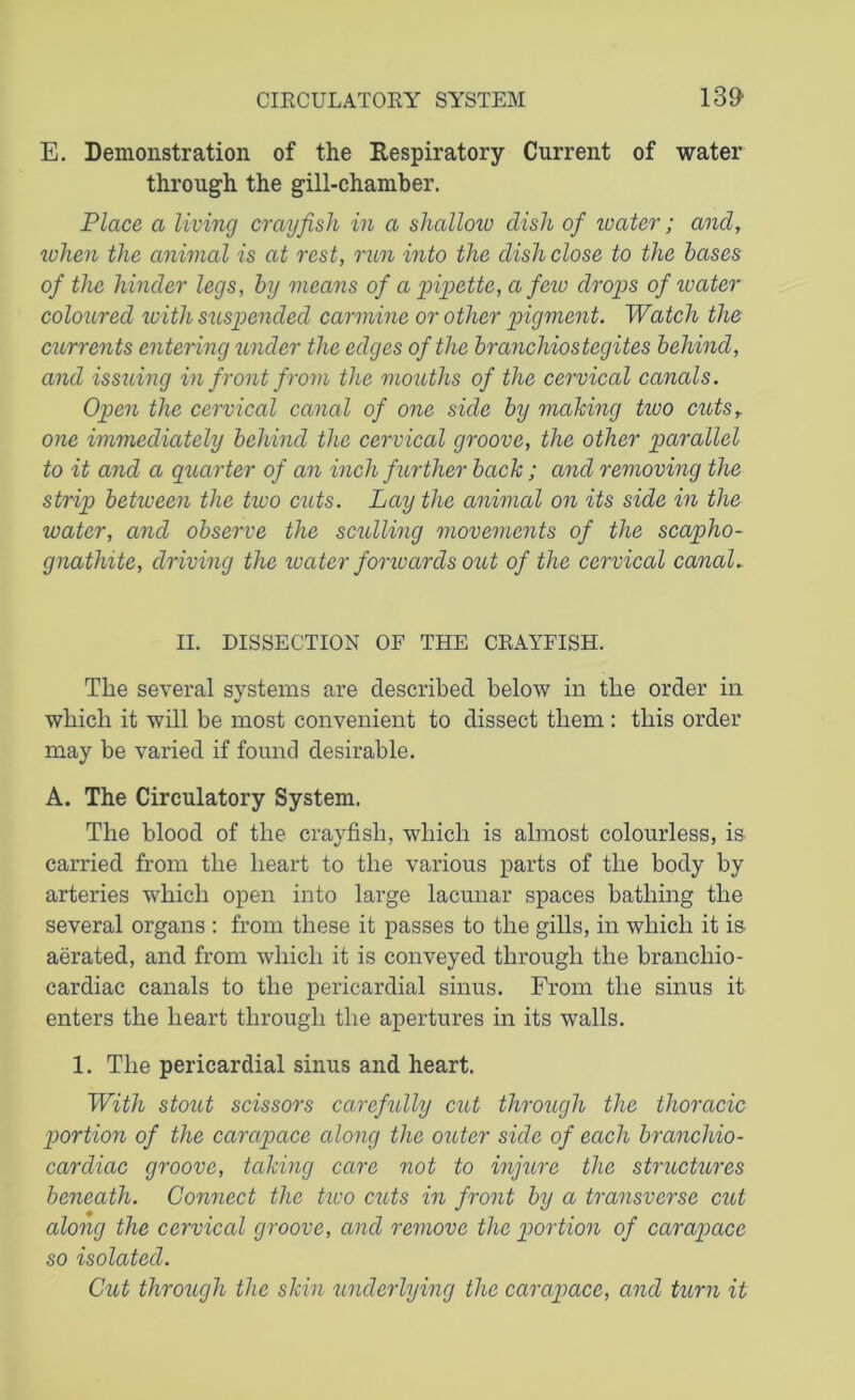 E. Demonstration of the Respiratory Current of water through the gill-chamber. Place a living crayfish in a shallow dish of water; and, when the animal is at rest, run into the dish close to the bases of the hinder legs, by means of a pipette, a few drops of ivater coloured with suspended carmine or other pigment. Watch the currents entering under the edges of the brancliiostegites behind, and issuing in front from the mouths of the cervical canals. Open the cervical canal of one side by making tivo cutsr one immediately behind the cervical groove, the other parallel to it and a quarter of an inch further back; and removing the strip between the tivo cuts. Lay the animal on its side in the water, and observe the sculling 'movements of the scapho- gnathite, driving the water for tear ds out of the cervical canal* II. DISSECTION OF THE CRAYFISH. The several systems are described below in the order in which it will be most convenient to dissect them : this order may be varied if found desirable. A. The Circulatory System. The blood of the crayfish, which is almost colourless, is carried from the heart to the various parts of the body by arteries which open into large lacunar spaces bathing the several organs : from these it passes to the gills, in which it is aerated, and from which it is conveyed through the brancliio- cardiac canals to the pericardial sinus. From the sinus it enters the heart through the apertures in its walls. 1. The pericardial sinus and heart. With stout scissors carefully cut through the thoracic portion of the carapace along the outer side of each branchio- cardiac groove, taking care not to injure the structures beneath. Connect the two cuts in front by a transverse cut along the cervical groove, and remove the portion of carapace so isolated. Cut through the skin underlying the carapace, and turn it