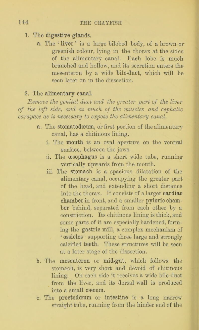1. The digestive glands. a. The ‘ liver ’ is a large bilobed body, of a brown or greenish colour, lying in the thorax at the sides of the alimentary canal. Each lobe is much branched and hollow, and its secretion enters the mesenteron by a wide bile-duct, which will be seen later on in the dissection. 2. The alimentary canal. Remove the genital duct and the greater 'part of the liver of the left side, and as much of the muscles and cephalic carapace as is necessary to expose the alimentary canal. a. The stoniatodoeuni, or first portion of the alimentary canal, has a chitinous lining. i. The mouth is an oval aperture on the ventral surface, between the jaws. ii. The oesophagus is a short wide tube, running vertically upwards from the mouth. iii. The stomach is a spacious dilatation of the alimentary canal, occupying the greater part of the head, and extending a short distance into the thorax. It consists of a larger cardiac chamber in front, and a smaller pyloric cham- ber behind, separated from each other by a constriction. Its chitinous lining is thick, and some parts of it are especially hardened, form- ing the gastric mill, a complex mechanism of 4 ossicles ’ supporting three large and strongly calcified teeth. These structures will be seen at a later stage of the dissection. b. The mesenteron or mid-gut, which follows the stomach, is very short and devoid of chitinous lining. On each side it receives a wide bile-duct from the liver, and its dorsal wall is produced into a small caecum. c. The proctodceum or intestine is a long narrow straight tube, running from the hinder end of the