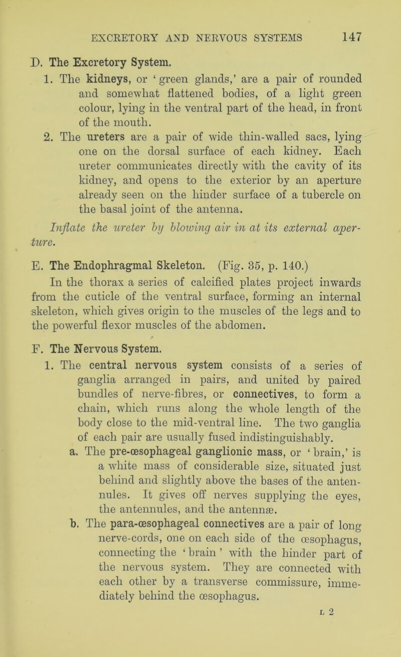 D. The Excretory System. 1. The kidneys, or ‘green glands,’ are a pair of rounded and somewhat flattened bodies, of a light green colour, lying in the ventral part of the head, in front of the mouth. 2. The ureters are a pair of wide thin-walled sacs, lying one on the dorsal surface of each kidney. Each ureter communicates directly with the cavity of its kidney, and opens to the exterior by an aperture already seen on the hinder surface of a tubercle on the basal joint of the antenna. Inflate the ureter by blowing air in at its external aper- ture. E. The Endophragmal Skeleton. (Fig. 35, p. 140.) In the thorax a series of calcified plates project inwards from the cuticle of the ventral surface, forming an internal skeleton, which gives origin to the muscles of the legs and to the powerful flexor muscles of the abdomen. p F. The Nervous System. 1. The central nervous system consists of a series of ganglia arranged in pairs, and united by paired bundles of nerve-fibres, or connectives, to form a chain, which runs along the whole length of the body close to the mid-ventral line. The two ganglia of each pair are usually fused indistinguisliably. a. The pre-oesophageal ganglionic mass, or ‘ brain,’ is a white mass of considerable size, situated just behind and slightly above the bases of the anten- nules. It gives off nerves supplying the eyes, the antennules, and the antennas. b. The para-cesophageal connectives are a pair of long nerve-cords, one on each side of the oesophagus, connecting the ‘ brain ’ with the hinder part of the nervous system. They are connected with each other by a transverse commissure, imme- diately behind the oesophagus.