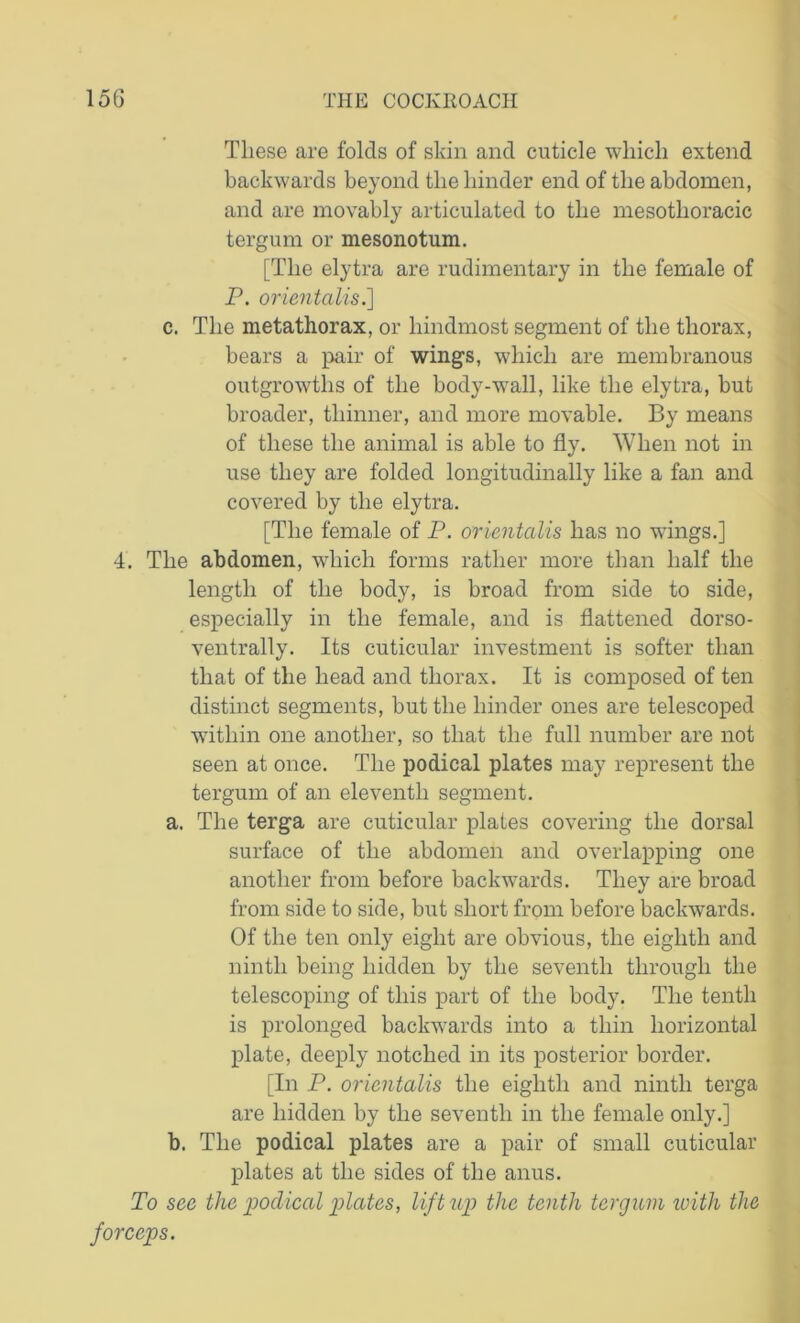 These are folds of skin and cuticle which extend backwards beyond the hinder end of the abdomen, and are movably articulated to the mesothoracic tergum or mesonotum. [The elytra are rudimentary in the female of P. orientalist] c. The metathorax, or hindmost segment of the thorax, bears a pair of wings, which are membranous outgrowths of the body-wall, like the elytra, but broader, thinner, and more movable. By means of these the animal is able to fly. When not in use they are folded longitudinally like a fan and covered by the elytra. [The female of P. orientalis has no wings.] 4. The abdomen, which forms rather more than half the length of the body, is broad from side to side, especially in the female, and is flattened dorso- ventrally. Its cuticular investment is softer than that of the head and thorax. It is composed of ten distinct segments, but the hinder ones are telescoped within one another, so that the full number are not seen at once. The podical plates may represent the tergum of an eleventh segment. a. The terga are cuticular plates covering the dorsal surface of the abdomen and overlapping one another from before backwards. They are broad from side to side, but short from before backwards. Of the ten only eight are obvious, the eighth and ninth being hidden by the seventh through the telescoping of this part of the body. The tenth is prolonged backwards into a thin horizontal plate, deeply notched in its posterior border. [In P. orientalis the eighth and ninth terga are hidden by the seventh in the female only.] b. The podical plates are a pair of small cuticular plates at the sides of the anus. To see the podical plates, lift up the tenth tergum with the forceps.