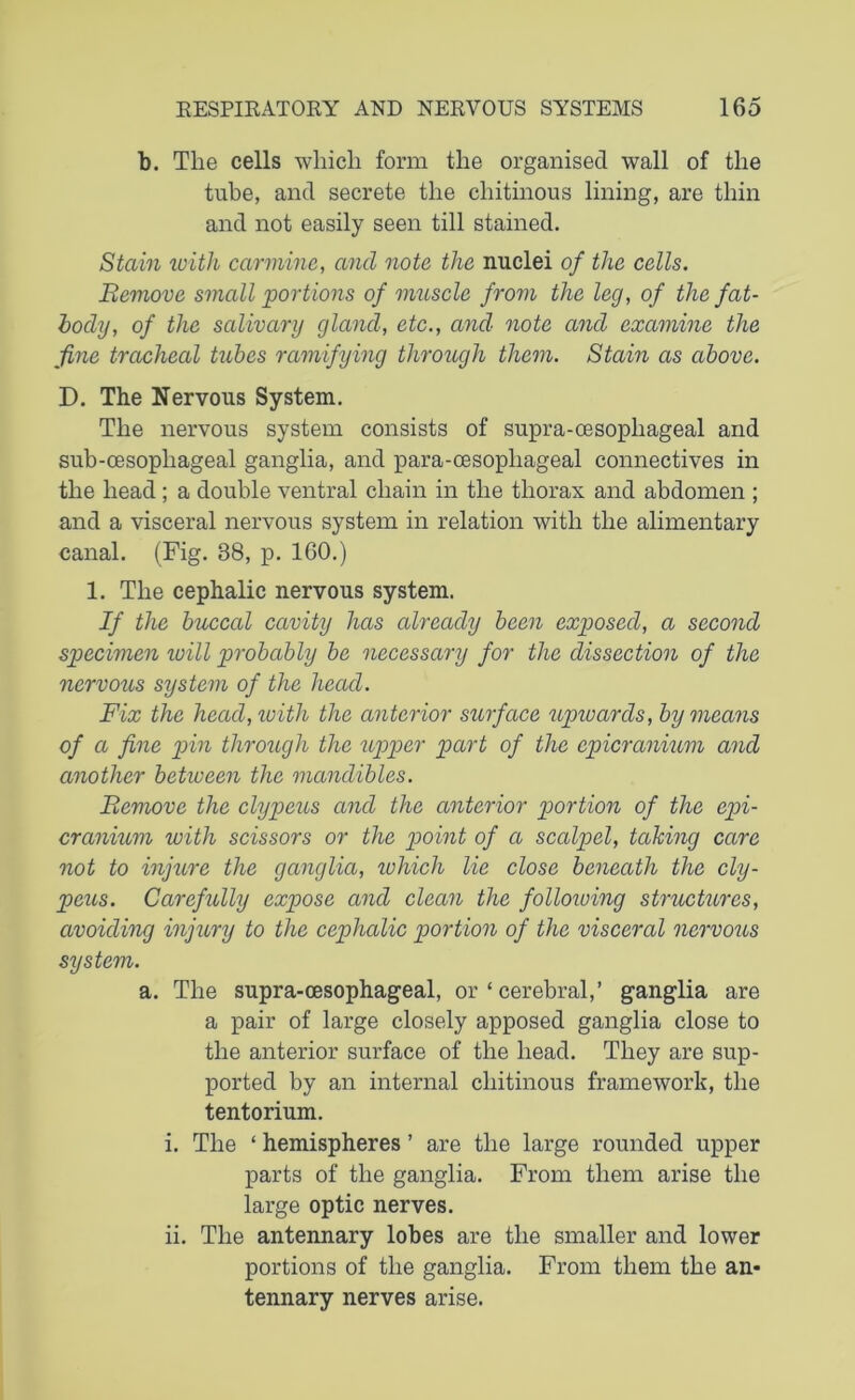 b. The cells which form the organised wall of the tube, and secrete the chitinous lining, are thin and not easily seen till stained. Stain with carmine, and note the nuclei of the cells. Bemove small portions of muscle from the leg, of the fat- body, of the salivary gland, etc., and note and examine the fine tracheal tubes ramifying through them. Stain as above. D. The Nervous System. The nervous system consists of supra-oesophageal and sub-oesophageal ganglia, and para-oesophageal connectives in the head; a double ventral chain in the thorax and abdomen ; and a visceral nervous system in relation with the alimentary canal. (Fig. 38, p. 160.) 1. The cephalic nervous system. If the buccal cavity has already been exposed, a second specimen tuill probably be necessary for the dissection of the nervous system of the head. Fix the head, with the anterior surface upwards, by means of a fine pin through the upper part of the epicranium and another between the mandibles. Bemove the clypeus and the anterior portion of the epi- cranium with scissors or the point of a scalpel, taking care not to injure the ganglia, zvhich lie close beneath the cly- peus. Carefully expose and clean the following structures, avoiding injury to the cephalic portion of the visceral nervous system. a. The supra-oesophageal, or ‘ cerebral,’ ganglia are a pair of large closely apposed ganglia close to the anterior surface of the head. They are sup- ported by an internal chitinous framework, the tentorium. i. The ‘ hemispheres ’ are the large rounded upper parts of the ganglia. From them arise the large optic nerves. ii. The antennary lobes are the smaller and lower portions of the ganglia. From them the an- tennary nerves arise.