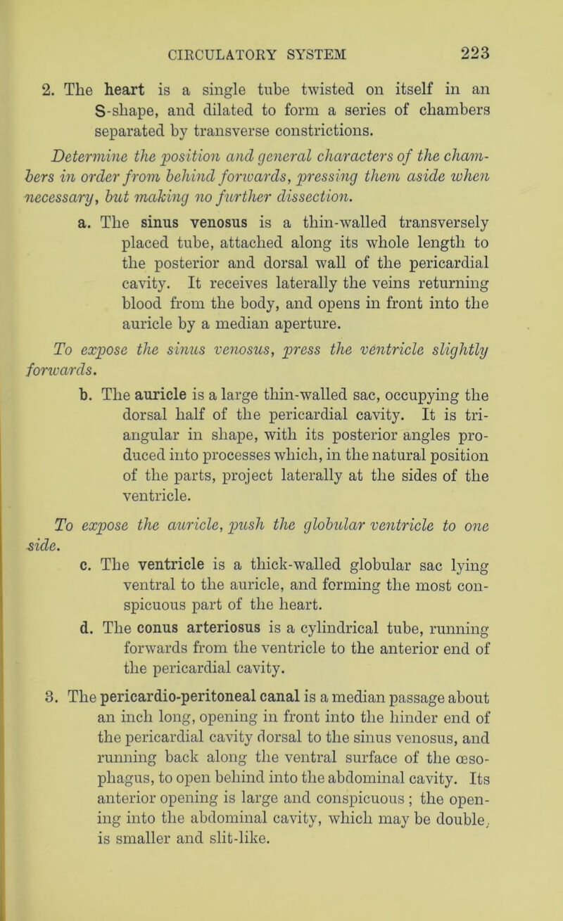 2. The heart is a single tube twisted on itself in an S-shape, and dilated to form a series of chambers separated by transverse constrictions. Determine the ‘position and general characters of the cham- bers in order from behind forwards, pressing them aside when necessary, but making no further dissection. a. The sinus venosus is a thin-walled transversely placed tube, attached along its whole length to the posterior and dorsal wall of the pericardial cavity. It receives laterally the veins returning blood from the body, and opens in front into the auricle by a median aperture. To expose the sinus venosus, press the ventricle slightly forwards. b. The auricle is a large thin-walled sac, occupying the dorsal half of the pericardial cavity. It is tri- angular in shape, with its posterior angles pro- duced into processes which, in the natural position of the parts, project laterally at the sides of the ventricle. To expose the auricle, push the globular ventricle to one side. c. The ventricle is a thick-walled globular sac lying ventral to the auricle, and forming the most con- spicuous part of the heart. d. The conus arteriosus is a cylindrical tube, running forwards from the ventricle to the anterior end of the pericardial cavity. 3. The pericardio-peritoneal canal is a median passage about an inch long, opening in front into the hinder end of the pericardial cavity dorsal to the sinus venosus, and running back along the ventral surface of the oeso- phagus, to open behind into the abdominal cavity. Its anterior opening is large and conspicuous ; the open- ing into the abdominal cavity, which may be double,, is smaller and slit-like.