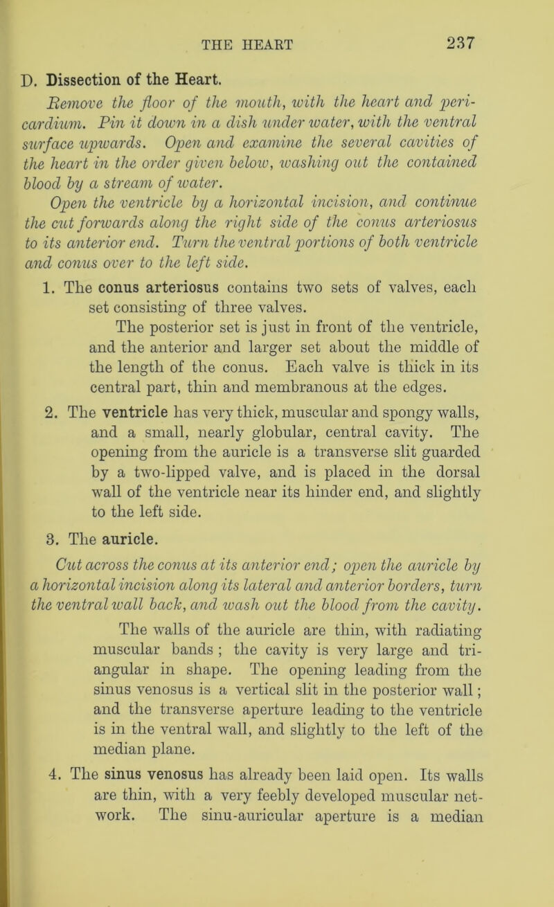 D. Dissection of the Heart. Beznove the floor of the mouth, with the heart and peri- cardium. Pin it dozen in a dish under zvater, with the ventral surface upwards. Open and examine the several cavities of the heart in the order given below, washing out the contained blood by a stream of zvater. Open the ventricle by a horizontal incision, and continue the czzt forzvards along the right side of the conzts arteriosus to its anterior end. Turn the ventral portions of both ventricle and conzis over to the left side. 1. The conus arteriosus contains two sets of valves, each set consisting of three valves. The posterior set is just in front of the ventricle, and the anterior and larger set about the middle of the length of the conus. Each valve is thick in its central part, thin and membranous at the edges. 2. The ventricle has very thick, muscular and spongy walls, and a small, nearly globular, central cavity. The opening from the auricle is a transverse slit guarded by a two-lipped valve, and is placed in the dorsal wall of the ventricle near its hinder end, and slightly to the left side. 3. The auricle. Cut across the conzts at its anterior end; open the auricle by a horizontal incision along its lateral and anterior borders, turn the ventral zvall back, and zvash oztt the blood from the cavity. The walls of the auricle are thin, with radiating muscular bands ; the cavity is very large and tri- angular in shape. The opening leading from the sinus venosus is a vertical slit in the posterior wall; and the transverse aperture leading to the ventricle is in the ventral wall, and slightly to the left of the median plane. 4. The sinus venosus has already been laid open. Its walls are thin, with a very feebly developed muscular net- work. The sinu-auricular aperture is a median