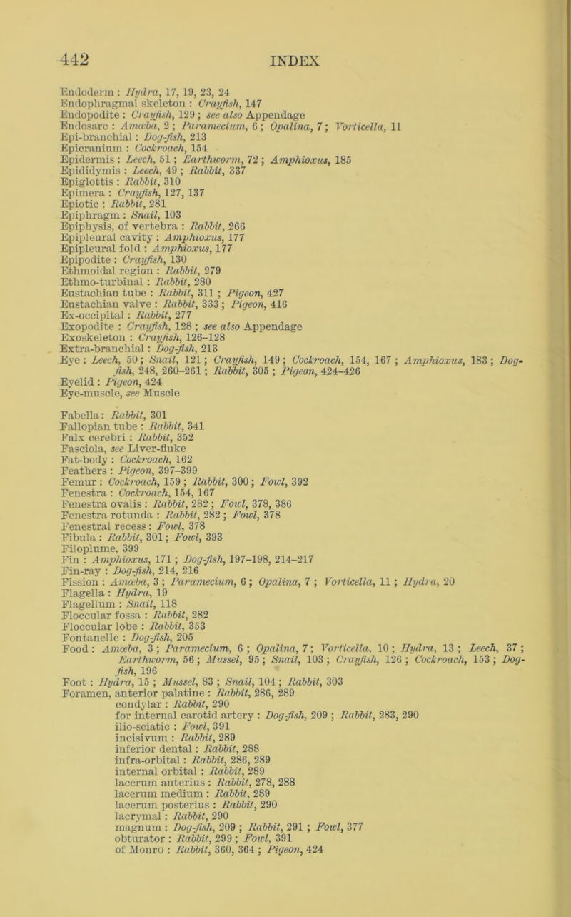 Endoderm : Hydra, 17,19, 23, 24 Endophragmal skeleton : Crayfish, 147 Endopodite : Crayfish, 129 ; see also Appendage Endosarc : Amoeba, 2; Paramecium, 6; Opalina, 7; Vorticella, 11 Epi-branchial: Dog-fish, 213 Epicranium : Cockroach, 154 Epidermis : Leech, 51; Earthworm, 72 ; Amphioxus, 185 Epididymis : Leech, 49 ; Jiabbit, 337 Epiglottis: Iiabbit, 310 Epimera : Crayfish, 127, 137 Epiotic : Rabbit, 281 Epiphragm: Snail, 103 Epiphysis, of vertebra : Rabbit, 266 Epipleural cavity : Amphioxus, 177 Epipleural fold : Amphioxus, 177 Epipodite: Crayfish, 130 Ethmoidal region : Rabbit, 279 Etkmo-turbiual : Rabbit, 280 Eustachian tube : Rabbit, 311 ; Pigeon, 427 Eustachian valve : Rabbit, 333; Pigeon, 416 Ex-occipital : Rabbit, 277 Exopodite : Crayfish, 128 ; see also Appendage Exoskeleton : Crayfish, 126-128 Extra-branchial: Dog-fish, 213 Eye: Leech, 50; Snail, 121; Crayfish, 149; Cockroach, 154, 167 ; Amphioxus, 183; Dog- fish, 248, 260-261 ; Rabbit, 305 ; Pigeon, 424-426 Eyelid: Pigeon, 424 Eye-muscle, see Muscle Fabella: Rabbit, 301 Fallopian tube : Rabbit, 341 Falx cerebri : Rabbit, 352 Fasciola, see Liver-fluke Fat-body : Cockroach, 162 Feathers : Pigeon, 397-399 Femur : Cockroach, 159 ; Rabbit, 300; Fowl, 392 Fenestra : Cockroach, 154, 167 Fenestra ovalis : Rabbit, 282 ; Fowl, 378, 386 Fenestra rotunda : Rabbit, 282 ; Fowl, 378 Fenestral recess : Fowl, 378 Fibula : Rabbit, 301; Fowl, 393 Filoplume, 399 Fin : Amphioxus, 171; Dog-fish, 197-198, 214-217 Fin-ray : Dog-fish, 214, 216 Fission : Amoeba, 3 ; Paramecium, 6 ; Opalina, 7 ; Vorticella, 11; Hydra, 20 Flagella : Hydra, 19 Flagellum: Snail, 118 Floccular fossa : Rabbit, 282 Floecular lobe : Rabbit, 353 Fontanelle : Dog-fish, 205 Food : Amoeba, 3 ; Paramecium, 6 ; Opalina, 7; Vorticella, 10 ; Hydra, 13 ; Leech, 37 ; Earthworm, 56; Mussel, 95; Snail, 103; Crayfish, 126; Cockroach, 153; Dog- fish, 196 Foot: Hydra, 15 ; Mussel, 83 ; Snail, 104; Rabbit, 303 Foramen, anterior palatine : Rabbit, 286, 289 condylar: Rabbit, 290 for internal carotid artery : Dog-fish, 209 ; Rabbit, 283, 290 ilio-sciatic : Fowl, 391 incisivum : Rabbit, 289 inferior dental: Rabbit, 288 infra-orbital: Rabbit, 286, 289 internal orbital : Rabbit, 289 lacerum anterius : Rabbit, 278, 288 lacerum medium : Rabbit, 289 lacerum posterius : Rabbit, 290 lacrymal: Rabbit, 290 magnum : Dog-fish, 209 ; Rabbit, 291 ; Fowl, 377 obturator : Rabbit, 299 ; Fowl, 391 of Monro : Rabbit, 360, 364 ; Pigeon, 424
