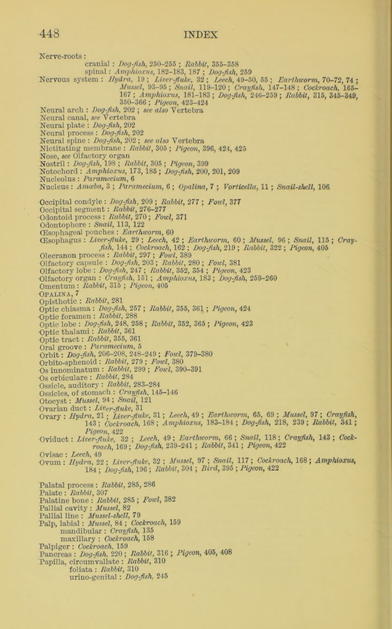 Nerve-roots: cranial : Dogfish, 250-255 ; Rabbit, 355-358 spinal: Amphioxus, 182-183, 187 ; Dog-fish, 259 Nervous system : Hydra, 19 ; Liver-fluke, 32 ; Leech, 49-50, 55 ; Earthworm, 70-72, 74 ; Mussel, 93-95; Snail, 119-120; Crayfish, 147-148; Cockroach, 165- 167 ; Amphioxus, 181-183 ; Dog-fish, 246-259 ; Rabbit, 315, 345-349, 350-366 ; Pigeon, 423-424 Neural arcli: Dog-fish, 202 ; see also Vertebra Neural canal, see Vertebra Neural plate : Dog-fish, 202 Neural process : Dog-fish, 202 Neural spine : Dog-fish, 202 ; see also Vertebra Nictitating membrane : Rabbit, 305 ; Pigeon, 396, 424, 425 Nose, see Olfactory organ Nostril : Dog-fish, 198 ; Rabbit, 305 ; Pigeon, 399 Notochord : Amphioxus, 173,185 ; Dog-fish, 200, 201, 209 Nucleolus: Paramecium, 6 Nucleus : Amoeba, 3 ; Paramecium, 6 ; Opalina, 7 ; Vorticella, 11; Snail-shell, 106 Occipital condyle : Dog-fish, 209 ; Rabbit, 277 ; Foul, 377 Occipital segment: Rabbit, 276-277 Odontoid process : Rabbit, 270; Fowl, 371 Odontophore : Snail, 113, 122 (Esophageal pouches : Earthworm, 60 (Esophagus : Liver-fluke, 29 ; Leech, 42 ; Earthworm, 60; Mussel, 96 ; Snail, 115 ; Cray- fish, 144 ; Cockroach, 162 ; Dog-fish, 219 ; Rabbit, 322 ; Pigeon, 405 Olecranon process : Rabbit, 297 ; Fowl, 389 Olfactory capsule : Dog-fish, 203 ; Rabbit, 280 ; Fowl, 381 Olfactory lobe : Dog-fish, 247 ; Rabbit, 352, 354 ; Pigeon, 423 Olfactory organ : Crayfish, 151; Amphioxus, 183 ; Dog-fish, 259-260 Omentum : Rabbit, 315 ; Pigeon, 405 Opaxina, 7 Opisthotic : Rabbit, 281 Optic chiasma : Dog-fish, 257 ; Rabbit, 355, 361 ; Pigeon, 424 Optic foramen : Rabbit, 288 Optic lobe : Dog-fish, 248, 258 ; Rabbit, 352, 365 ; Pigeon, 423 Optic thalami: Rabbit, 361 Optic tract: Rabbit, 355, 361 Oral groove : Paramecium, 5 Orbit: Dog-fish, 206-208, 248-249 ; Fowl, 379-380 Orbito-sphenoid: Rabbit, 279 ; Fowl, 380 Os innominatum : Rabbit, 299 ; Fowl, 390-391 Os orbiculare : Rabbit, 284 Ossicle, auditory : Rabbit, 283-284 Ossicles, of stomach : Crayfish, 145-146 Otocyst: Mussel, 94 ; Snail, 121 Ovarian duct: Liver-fluke, 31 Ovary : Hydra, 21 • Liver-fluke, 31; Leech, 49 ; Earthworm, 65, 69 ; Mussel, 97 ; Crayfish, 143 ; Cockroach, 168 ; Amphioxus, 183-184 ; Dog-fish, 218, 239 ; Rabbit, 341; Pigeon, 422 Oviduct: Liver-fluke, 32 ; Leech, 49; Earthworm, 66 ; Snail, 118; Crayfish, 143 ; Cock- roach, 169 ; Dog-fish, 239-241 ; Rabbit, 341; Pigeon, 422 Ovisac : Leech, 49 Ovum : Hydra, 22 ; Liver-fluke, 32 ; Mussel, 97 ; Snail, 117 ; Cockroach, 168 ; Amphioxus, 184 ; Dog-fish, 196 ; Rabbit, 304 ; Bird, 395 ; Pigeon, 422 Palatal process : Rabbit, 285, 286 Palate : Rabbit, 307 Palatine bone : Rabbit, 285 ; Fowl, 382 Pallia] cavity : Mussel, 82 Pallial line : Mussel-shell, 79 Palp, labial: Mussel, 84 ; Cockroach, 159 mandibular : Crayfish, 135 maxillary : Cockroach, 158 Palpiger: Cockroach, 159 Pancreas : Dog-fish, 220 ; Rabbit, 316 ; Pigeon, 405, 408 Papilla, circumvallate : Rabbit, 310 foliata: Rabbit, 310 urino-genital: Dog-fish, 245