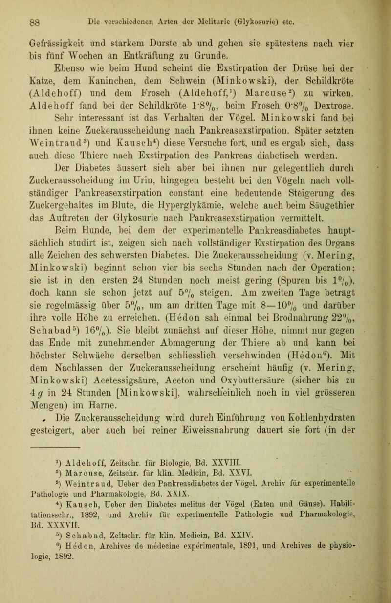 Gefrässigkeit und starkem Durste ab und gehen sie spätestens nach vier bis fünf Wochen an Entkräftung zu Grunde. Ebenso wie beim Hund scheint die Exstirpation der Drüse bei der Katze, dem Kaninchen, dem Schwein (Minkowski), der Schildkröte (Aldehoff) und dem Frosch (Aidehoff,1) Marcuse2) za wirken. Aldehoff fand bei der Schildkröte 1*8%, beim Frosch 0*8% Dextrose. Sehr interessant ist das Verhalten der Vögel. Minkowski fand bei ihnen keine Zuckerausscheidung nach Pankreasexstirpation. Später setzten Weintraud3) und Kausch4) diese Versuche fort, und es ergab sich, dass auch diese Thiere nach Exstirpation des Pankreas diabetisch werden. Der Diabetes äussert sich aber bei ihnen nur gelegentlich durch Zuckerausscheidung im Urin, hingegen besteht bei den Vögeln nach voll- ständiger Pankreasexstirpation constant eine bedeutende Steigerung des Zuckergehaltes im Blute, die Hyperglykämie, welche auch beim Säugethier das Auftreten der Glykosurie nach Pankreasexstirpation vermittelt. Beim Hunde, bei dem der experimentelle Pankreasdiabetes haupt- sächlich studirt ist, zeigen sich nach vollständiger Exstirpation des Organs alle Zeichen des schwersten Diabetes. Die Zuckerausscheidung (v. Mering, Minkowski) beginnt schon vier bis sechs Stunden nach der Operation; sie ist in den ersten 24 Stunden noch meist gering (Spuren bis 1%), doch kann sie schon jetzt auf 5°/0 steigen. Am zweiten Tage beträgt sie regelmässig über 5%> um am dritten Tage mit 8—10% und darüber ihre volle Höhe zu erreichen. (Hedon sah einmal bei Brodnahrung 22%, Schabad5) 16%). Sie bleibt zunächst auf dieser Höhe, nimmt nur gegen das Ende mit zunehmender Abmagerung der Thiere ab und kann bei höchster Schwäche derselben schliesslich verschwinden (Hedon6). Mit dem Nachlassen der Zuckerausscheidung erscheint häufig (v. Mering, Minkowski) Acetessigsäure, Aceton und Oxybuttersäure (sicher bis zu 4 g in 24 Stunden [Minkowski], wahrscheinlich noch in viel grösseren Mengen) im Harne. , Die Zuckerausscheidung wird durch Einführung von Kohlenhydraten gesteigert, aber auch bei reiner Eiweissnahrung dauert sie fort (in der 0 Aldehoff, Zeitschr. für Biologie, Bd. XXVIII. 2) Marcuse, Zeitschr. für klin. Medicin, Bd. XXVI. 3) Weintraud, Ueber den Pankreasdiabetes der Vögel. Archiv für experimentelle Pathologie und Pharmakologie, Bd. XXIX. 4) Kausch, Ueber den Diabetes melitus der Vögel (Enten und Gänse). Habili- tationsschr., 1892, und Archiv für experimentelle Pathologie uud Pharmakologie, Bd. XXXVII. 5) Schabad, Zeitsehr. für klin. Medicin, Bd. XXIV. 6) Hedon, Archives de medeeine experimentale, 1891, und Archives de Physio- logie, 1892.