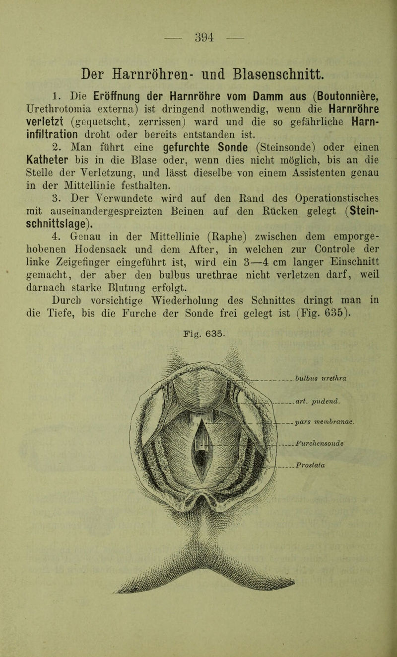 Der Harnröhren- und Blasenschnitt. 1. Die Eröffnung der Harnröhre vom Damm aus (Boutonniere, Urethrotomia externa) ist dringend nothwendig, wenn die Harnröhre verletzt (gequetscht, zerrissen) ward und die so gefährliche Harn- infiltration droht oder bereits entstanden ist. 2. Man führt eine gefurchte Sonde (Steinsonde) oder einen Katheter bis in die Blase oder, wenn dies nicht möglich, bis an die Stelle der Verletzung, und lässt dieselbe von einem Assistenten genau in der Mittellinie festhalten. 3. Der Verwundete wird auf den Rand des Operationstisches mit auseinandergespreizten Beinen auf den Rücken gelegt (Stein- schnittslage). 4. Genau in der Mittellinie (Raphe) zwischen dem emporge- hobenen Hodensack und dem After, in welchen zur Controle der linke Zeigefinger eingeführt ist, wird ein 3—4 cm langer Einschnitt * gemacht, der aber den bulbus urethrae nicht verletzen darf, weil darnach starke Blutung erfolgt. Durch vorsichtige Wiederholung des Schnittes dringt man in die Tiefe, bis die Furche der Sonde frei gelegt ist (Fig. 635). Fig. 635.