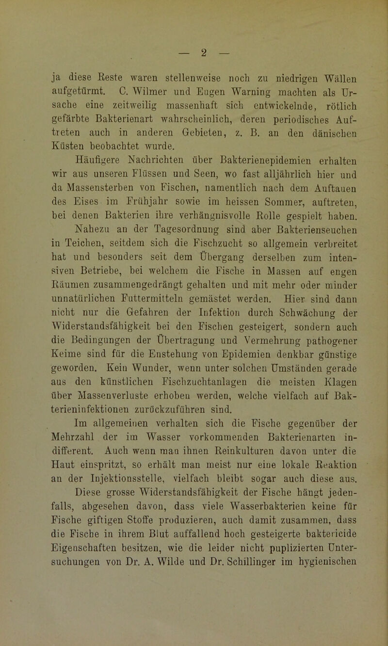 ja diese Beste waren stellenweise noch zu niedrigen Wällen aufgetürmt, C. Wilmer und Eugen Warning machten als Ur- sache eine zeitweilig massenhaft sich entwickelnde, rötlich gefärbte Bakterienart wahrscheinlich, deren periodisches Auf- treten auch in anderen Gebieten, z. B. an den dänischen Küsten beobachtet wurde. Häufigere Nachrichten über Bakterienepidemien erhalten wir aus unseren Flüssen und Seen, wo fast alljährlich hier und da Massensterben von Fischen, namentlich nach dem Auftauen des Eises im Frühjahr sowie im heissen Sommer, auftreten, bei denen Bakterien ihre verhängnisvolle Rolle gespielt haben. Nahezu an der Tagesordnung sind aber Bakterienseuchen in Teichen, seitdem sich die Fischzucht so allgemein verbreitet hat und besonders seit dem Übergang derselben zum inten- siven Betriebe, bei welchem die Fische in Massen auf engen Räumen zusammengedrängt gehalten und mit mehr oder minder unnatürlichen Futtermitteln gemästet werden. Hier sind dann nicht nur die Gefahren der Infektion durch Schwächung der Widerstandsfähigkeit bei den Fischen gesteigert, sondern auch die Bedingungen der Übertragung und Vermehrung pathogener Keime sind für die Enstehung von Epidemien denkbar günstige geworden. Kein Wunder, wenn unter solchen Umständen gerade aus den künstlichen Fischzuchtanlagen die meisten Klagen über Massenverluste erhoben werden, welche vielfach auf Bak- terieninfektionen zurückzuführen sind. Im allgemeinen verhalten sich die Fische gegenüber der Mehrzahl der im Wasser vorkommenden Bakterienarten in- different. Auch wenn mau ihnen Reinkulturen davon unter die Haut einspritzt, so erhält man meist nur eine lokale Reaktion an der Injektionsstelle, vielfach bleibt sogar auch diese aus. Diese grosse Widerstandsfähigkeit der Fische hängt jeden- falls, abgesehen davon, dass viele Wasserbakterien keine für Fische giftigen Stoffe produzieren, auch damit zusammen, dass die Fische in ihrem Blut auffallend hoch gesteigerte bakteiicide Eigenschaften besitzen, wie die leider nicht puplizierten Unter- suchungen von Dr. A. Wilde und Dr. Sehillinger im hygienischen
