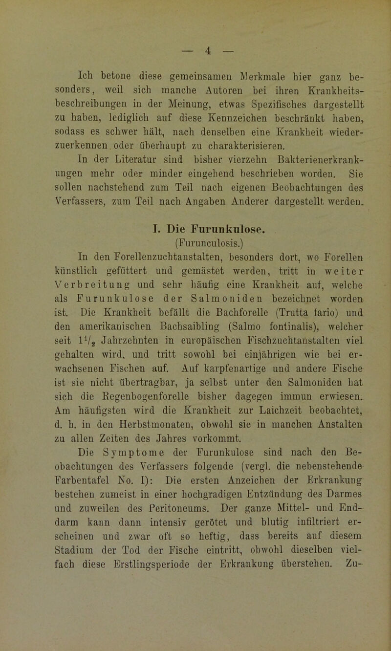 Ich betone diese gemeinsamen Merkmale hier ganz be- sonders, weil sich manche Autoren bei ihren Krankheits- beschreibungen in der Meinung, etwas Spezifisches dargestellt zu haben, lediglich auf diese Kennzeichen beschränkt haben, sodass es schwer hält, nach denselben eine Krankheit wieder- zuerkennen, oder überhaupt zu charakterisieren. In der Literatur sind bisher vierzehn Bakterienerkrank- ungen mehr oder minder eingehend beschrieben worden. Sie sollen nachstehend zum Teil nach eigenen Beobachtungen des Verfassers, zum Teil nach Angaben Anderer dargestellt werden. I. Die Furunkulose. (Furunculosis.) In den Forellenzuchtanstalten, besonders dort, wo Forellen künstlich gefüttert und gemästet werden, tritt in weiter Verbreitung und sehr häufig eine Krankheit aut, welche als Furunkulose der Salmoniden bezeichnet worden ist. Die Krankheit befällt die Bachforelle (Trutta fario) und den amerikanischen Bachsaibling (Salmo fontinalis), welcher seit IV2 Jahrzehnten in europäischen Fischzuchtanstalten viel gehalten wird, und tritt sowohl bei einjährigen wie bei er- wachsenen Fischen auf. Auf karpfenartige und andere Fische ist sie nicht übertragbar, ja selbst unter den Salmoniden hat sich die Kegenbogenforelle bisher dagegen immun erwiesen. Am häufigsten wird die Krankheit zur Laichzeit beobachtet, d. h, in den Herbstmonaten, obwohl sie in manchen Anstalten zu allen Zeiten des Jahres vorkommt. Die Symptome der Furunkulose sind nach den Be- obachtungen des Verfassers folgende (vergl. die nebenstehende Farbentafel No. I); Die ersten Anzeichen der Erkrankung bestehen zumeist in einer hochgradigen Entzündung des Darmes und zuweilen des Peritoneums. Der ganze Mittel- und End- darm kann dann intensiv gerötet und blutig infiltriert er- scheinen und zwar oft so heftig, dass bereits auf diesem Stadium der Tod der Fische eintritt, obwohl dieselben viel- fach diese Erstlingsperiode der Erkrankung überstehen. Zu-