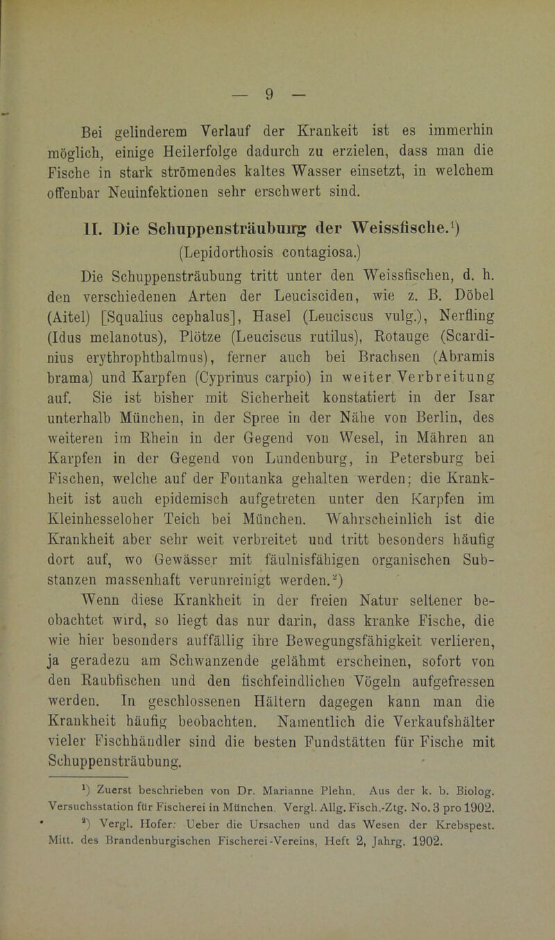 Bei gelinderem Verlauf der Kränkelt ist es immerhin möglich, einige Heilerfolge dadurch zu erzielen, dass man die Fische in stark strömendes kaltes Wasser einsetzt, in welchem offenbar Neuinfektionen sehr erschwert sind. II. Die ScliuppensträubuiT^ der Weissfisclie.^) (Lepidorthosis contagiosa.) Die Schuppensträubung tritt unter den Weissfischen, d. h. den verschiedenen Arten der Leucisciden, wie z. B. Döbel (Aitel) [Squalius cephalus], Hasel (Leuciscus vulg.), Nerfling (Idus melanotus), Plötze (Leuciscus rutilus), Rotauge (Scardi- nius erythrophthalmus), ferner auch bei Brachsen (Abramis brama) und Karpfen (Cyprinus carpio) in weiter Verbreitung auf. Sie ist bisher mit Sicherheit konstatiert in der Isar unterhalb München, in der Spree in der Nähe von Berlin, des weiteren im Rhein in der Gegend von Wesel, in Mähren an Karpfen in der Gegend von Lundenburg, in Petersburg bei Fischen, welche auf der Fontanka gehalten werden; die Krank- heit ist auch epidemisch aufgetreten unter den Karpfen im Kleinhesseloher Teich bei München. Wahrscheinlich ist die Krankheit aber sehr weit verbreitet und tritt besonders häufig dort auf, wo Gewässer mit fäulnisfähigen organischen Sub- stanzen massenhaft verunreinigt werden.^) Wenn diese Krankheit in der freien Natur seltener be- obachtet wird, so liegt das nur darin, dass kranke Fische, die wie hier besonders auffällig ihre Bewegungsfähigkeit verlieren, ja geradezu am Schwanzende gelähmt erscheinen, sofort von den Raubfischen und den fischfeindlichen Vögeln aufgefressen w'erden. In geschlossenen Hältern dagegen kann man die Krankheit häufig beobachten. Namentlich die Verkaufshälter vieler Fischhändler sind die besten Fundstätten für Fische mit Schuppensträubung. *) Zuerst beschrieben von Dr. Marianne Plehn. Aus der k. b. Biolog. Versuchsstation für Fischerei in München. Vergl. Allg. Fisch.-Ztg. No. 3 pro 190'2. *) Vergl. Hofer.- lieber die Ursachen und das Wesen der Krebspest. Mitt. des Brandenburgischen Fischerei-Vereins, Heft 2, Jahrg. 1902.