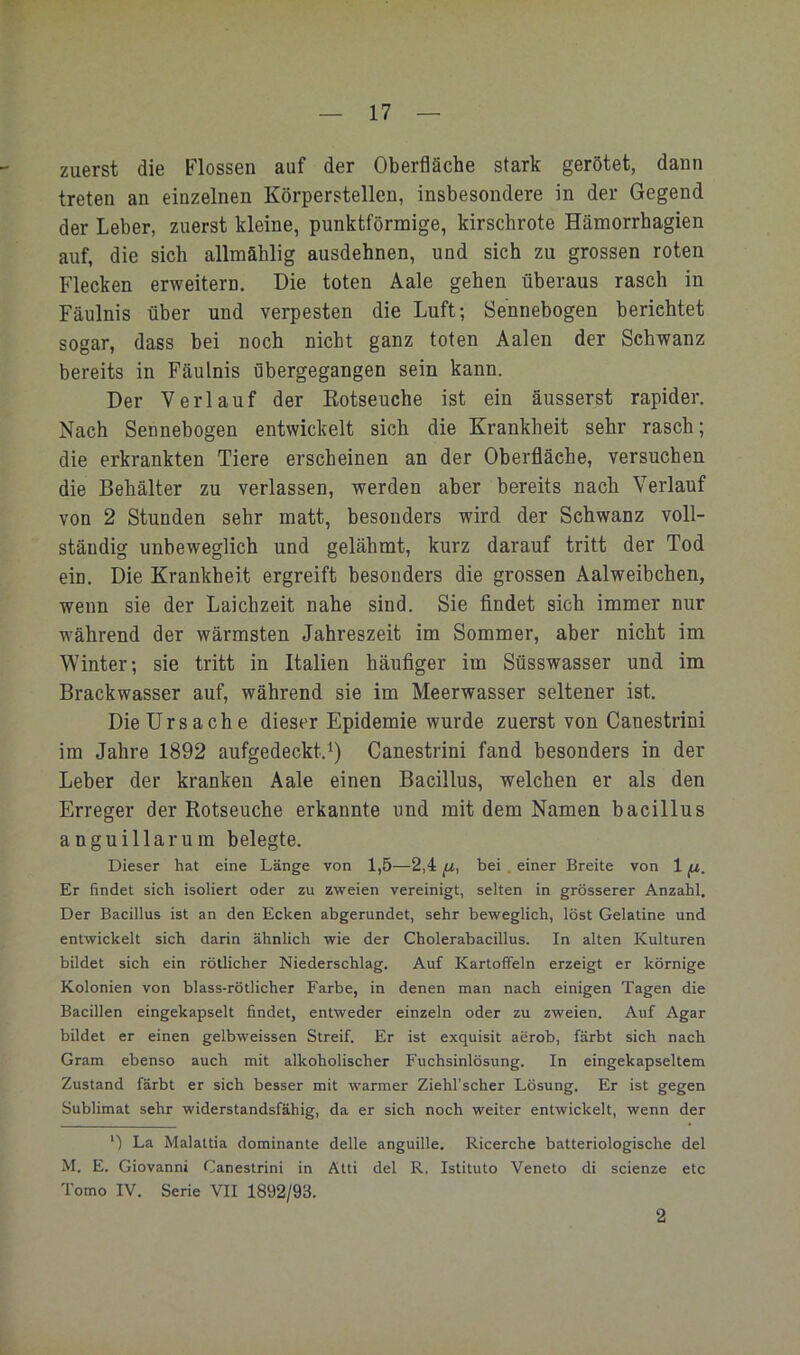 zuerst die Flossen auf der Oberfläche stark gerötet, dann treten an einzelnen Körperstellen, insbesondere in der Gegend der Leber, zuerst kleine, punktförmige, kirschrote Hämorrhagien auf, die sich allmählig ausdehnen, und sich zu grossen roten Flecken erweitern. Die toten Aale gehen überaus rasch in Fäulnis über und verpesten die Luft; Sennebogen berichtet sogar, dass bei noch nicht ganz toten Aalen der Schwanz bereits in Fäulnis übergegangen sein kann. Der Verlauf der Kotseuche ist ein äusserst rapider. Nach Sennebogen entwickelt sich die Krankheit sehr rasch; die erkrankten Tiere erscheinen an der Oberfläche, versuchen die Behälter zu verlassen, werden aber bereits nach Verlauf von 2 Stunden sehr matt, besonders wird der Schwanz voll- ständig unbeweglich und gelähmt, kurz darauf tritt der Tod ein. Die Krankheit ergreift besonders die grossen Aalweibchen, wenn sie der Laichzeit nahe sind. Sie findet sich immer nur während der wärmsten Jahreszeit im Sommer, aber nicht im Winter; sie tritt in Italien häufiger im Süsswasser und im Brackwasser auf, während sie im Meerwasser seltener ist. Die Ursa che dieser Epidemie wurde zuerst von Canestrini im Jahre 1892 aufgedeckt.Canestrini fand besonders in der Leber der kranken Aale einen Bacillus, welchen er als den Erreger der Rotseuche erkannte und mit dem Namen bacillus anguillarum belegte. Dieser hat eine Länge von 1,5—2,4 fj,, bei . einer Breite von 1 fj,. Er findet sich isoliert oder zu zweien vereinigt, selten in grösserer Anzahl. Der Bacillus ist an den Ecken abgerundet, sehr beweglich, löst Gelatine und entwickelt sich darin ähnlich wie der Cholerabacillus. In alten Kulturen bildet sich ein rötlicher Niederschlag. Auf Kartoffeln erzeigt er körnige Kolonien von blass-rötlicher Farbe, in denen man nach einigen Tagen die Bacillen eingekapselt findet, entweder einzeln oder zu zweien. Auf Agar bildet er einen gelbweissen Streif. Er ist exquisit aerob, färbt sich nach Gram ebenso auch mit alkoholischer Fuchsinlösung. In eingekapseltem Zustand färbt er sich besser mit warmer Ziehl’scher Lösung. Er ist gegen Sublimat sehr widerstandsfähig, da er sich noch weiter entwickelt, wenn der ') La Malaltia dominante delle anguille. Ricerche batteriologische del M. E. Giovanni Canestrini in Atti del R. Istituto Veneto di scienze etc Tomo IV. Serie VII 1892/93. 2