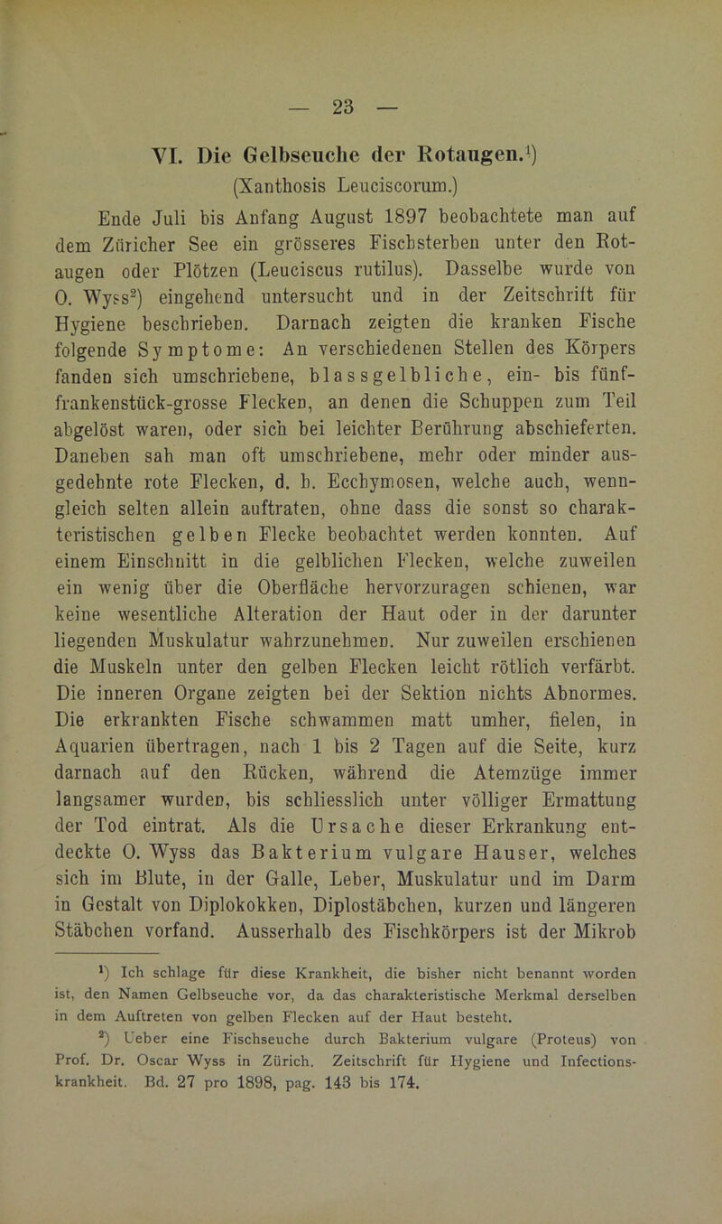 VI. Die Gelbseuclic der Rotaugen.^) (Xanthosis Leuciscomm.) Ende Juli bis Anfang August 1897 beobachtete man auf dem Züricher See ein grösseres Fischsterben unter den Rot- augen oder Plötzen (Leuciscus rutilus). Dasselbe wurde von 0. Wyss^) eingehend untersucht und in der Zeitschrift für Hygiene beschrieben. Darnach zeigten die kranken Fische folgende Symptome: An verschiedenen Stellen des Körpers fanden sieh umschriebene, blassgelbliche, ein- bis fünf- frankenstück-grosse Flecken, an denen die Schuppen zum Teil abgelöst waren, oder sieh bei leichter Berührung abschieferten. Daneben sah man oft umschriebene, mehr oder minder aus- gedehnte rote Flecken, d. h. Ecchymosen, welche auch, wenn- gleich selten allein auftraten, ohne dass die sonst so charak- teristischen gelben Flecke beobachtet werden konnten. Auf einem Einschnitt in die gelblichen Flecken, welche zuweilen ein wenig über die Oberfläche hervorzuragen schienen, war keine wesentliche Alteration der Haut oder in der darunter liegenden Muskulatur wahrzunehmen. Nur zuweilen erschienen die Muskeln unter den gelben Flecken leicht rötlich verfärbt. Die inneren Organe zeigten bei der Sektion nichts Abnormes. Die erkrankten Fische schwammen matt umher, fielen, in Aquarien übertragen, nach 1 bis 2 Tagen auf die Seite, kurz darnach auf den Rücken, während die Atemzüge immer langsamer wurden, bis schliesslich unter völliger Ermattung der Tod eintrat. Als die Ursache dieser Erkrankung ent- deckte 0. Wyss das Bakterium vulgare Hauser, welches sich im Blute, in der Galle, Leber, Muskulatur und im Darm in Gestalt von Diplokokken, Diplostäbchen, kurzen und längeren Stäbchen vorfand. Ausserhalb des Fischkörpers ist der Mikrob *) Ich schlage für diese Krankheit, die bisher nicht benannt worden ist, den Namen Gelbseuche vor, da das charakteristische Merkmal derselben in dem Auftreten von gelben Flecken auf der Haut besteht. ®) Ueber eine Fischseuche durch Bakterium vulgare (Proteus) von Prof. Dr. Oscar Wyss in Zürich. Zeitschrift für Hygiene und Infections- krankheit. Bd. 27 pro 1898, pag. 143 bis 174.
