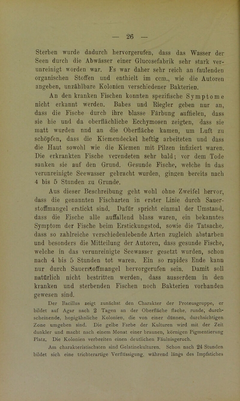 Sterben wurde dadurch hervorgerufen, dass das Wasser der Seen durch die Abwässer einer Glucosefabrik sehr stark ver- unreinigt worden war. Es war daher sehr reich an faulenden organischen Stoffen und enthielt im ccm., wie die Autoren angeben, unzählbare Kolonien verschiedener Bakterien, An denkranken Fischen konnten spezifische Symptome nicht erkannt werden. Babes und Eiegler geben nur an, dass die Fische durch ihre blasse Färbung auffielen, dass sie hie und da oberflächliche Ecchymosen zeigten, dass sie matt wurden nnd an die Oberfläche kamen, um Luft zu schöpfen, dass die Kiemendeckel heftig arbeiteten und dass die Haut sowohl wie die Kiemen mit Pilzen infiziert waren. Die erkrankten Fische verendeten sehr bald; vor dem Tode sanken sie auf den Grund. Gesunde Fische, welche in das verunreinigte Seewasser gebracht wurden, gingen bereits nach 4 bis 5 Stunden zu Grunde. Aus dieser Beschreibung geht wohl ohne Zweifel hervor, dass die genannten Fischarten in erster Linie durch Sauer- stoffmangel erstickt sind. Dafür spricht einmal der Umstand, dass die Fische alle auffallend blass waren, ein bekanntes Symptom der Fische beim Erstickungstod, sowie die Tatsache^ dass so zahlreiche verschiedeulebende Arten zugleich abstarbeu und besonders die Mitteilung der Autoren, dass gesunde Fische, welche in das verunreinigte Seewasser gesetzt wurden, schon nach 4 bis 5 Stunden tot waren. Ein so rapides Ende kann nur durch Sauerstoffmangel hervorgerufen sein. Damit soll natürlich nicht bestritten werden, dass ausserdem in den kranken und sterbenden Fischen noch Bakterien vorhanden gewesen sind. Der Bacillus zeigt zunächst den Charakter der Proteusgruppe, er bildet auf Agar nach 2 Tagen an der Oberfläche flache, runde, durch- scheinende, honigähnliche Kolonien, die von einer dünnen, durchsichtigen Zone umgeben sind. Die gelbe Farbe der Kulturen wird mit der Zeit dunkler und macht nach einem Monat einer braunen, körnigen Pigmentierung Platz, Die Kolonien verbreiten einen deutlichen Fäulnisgeruch. Am charakteristischsten sind Gelatinekulturen. Schon nach 24 Stunden bildet sich eine trichterartige Verflüssigung, während längs des Impfstiches