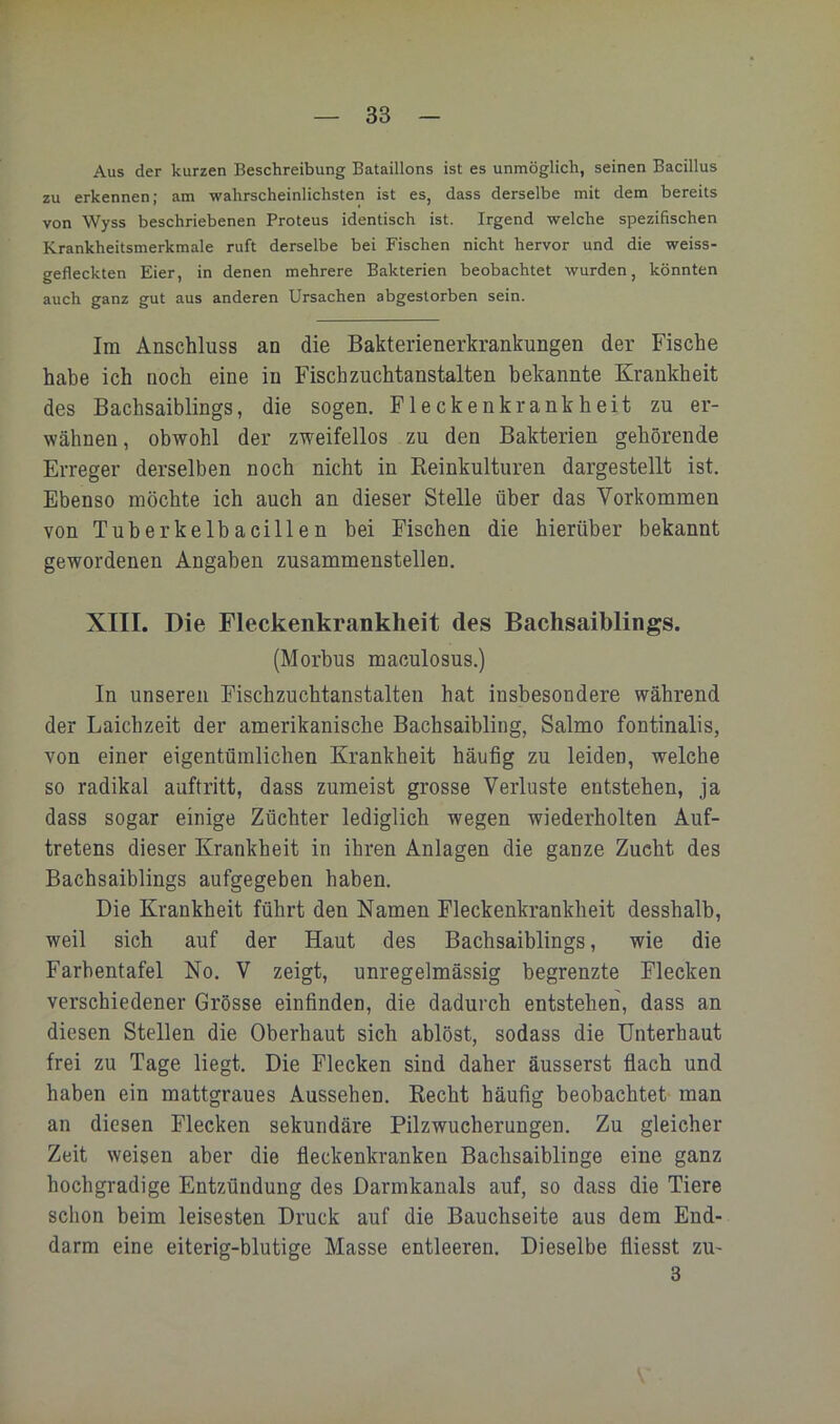 Aus der kurzen Beschreibung Bataillons ist es unmöglich, seinen Bacillus zu erkennen; am wahrscheinlichsten ist es, dass derselbe mit dem bereits von Wyss beschriebenen Proteus identisch ist. Irgend welche spezifischen Krankheitsmerkmale ruft derselbe bei Fischen nicht hervor und die weiss- gefleckten Eier, in denen mehrere Bakterien beobachtet wurden, könnten auch ganz gut aus anderen Ursachen abgestorben sein. Im Anschluss an die Bakterienerkrankungen der Fische habe ich noch eine in Fischzuchtanstalten bekannte Krankheit des Bachsaiblings, die sogen. Fleckenkrankheit zu er- wähnen, obwohl der zweifellos zu den Bakterien gehörende Erreger derselben noch nicht in Reinkulturen dargestellt ist. Ebenso möchte ich auch an dieser Stelle über das Vorkommen von Tuherkelbacillen bei Fischen die hierüber bekannt gewordenen Angaben zusammenstellen. XIII. Die Fleckenkrankheit des BachsaiWings. (Morbus maculosus.) In unseren Fischzuchtanstalten hat insbesondere während der Laichzeit der amerikanische Bachsaibling, Salmo fontinalis, von einer eigentümlichen Krankheit häufig zu leiden, welche so radikal auftritt, dass zumeist grosse Verluste entstehen, ja dass sogar einige Züchter lediglich wegen wiederholten Auf- tretens dieser Krankheit in ihren Anlagen die ganze Zucht des Bachsaiblings aufgegeben haben. Die Krankheit führt den Namen Fleckenkrankheit desshalb, weil sich auf der Haut des Bachsaiblings, wie die Farhentafel No. V zeigt, unregelmässig begrenzte Flecken verschiedener Grösse einfinden, die dadurch entstehen, dass an diesen Stellen die Oberhaut sich ablöst, sodass die Unterbaut frei zu Tage liegt. Die Flecken sind daher äusserst flach und haben ein mattgraues Aussehen. Recht häufig beobachtet man an diesen Flecken sekundäre Pilzwucherungen. Zu gleicher Zeit weisen aber die fleckenkranken Bachsaiblinge eine ganz hochgradige Entzündung des Darmkanals auf, so dass die Tiere schon beim leisesten Druck auf die Bauchseite aus dem End- darm eine eiterig-blutige Masse entleeren. Dieselbe fliesst zu- 3