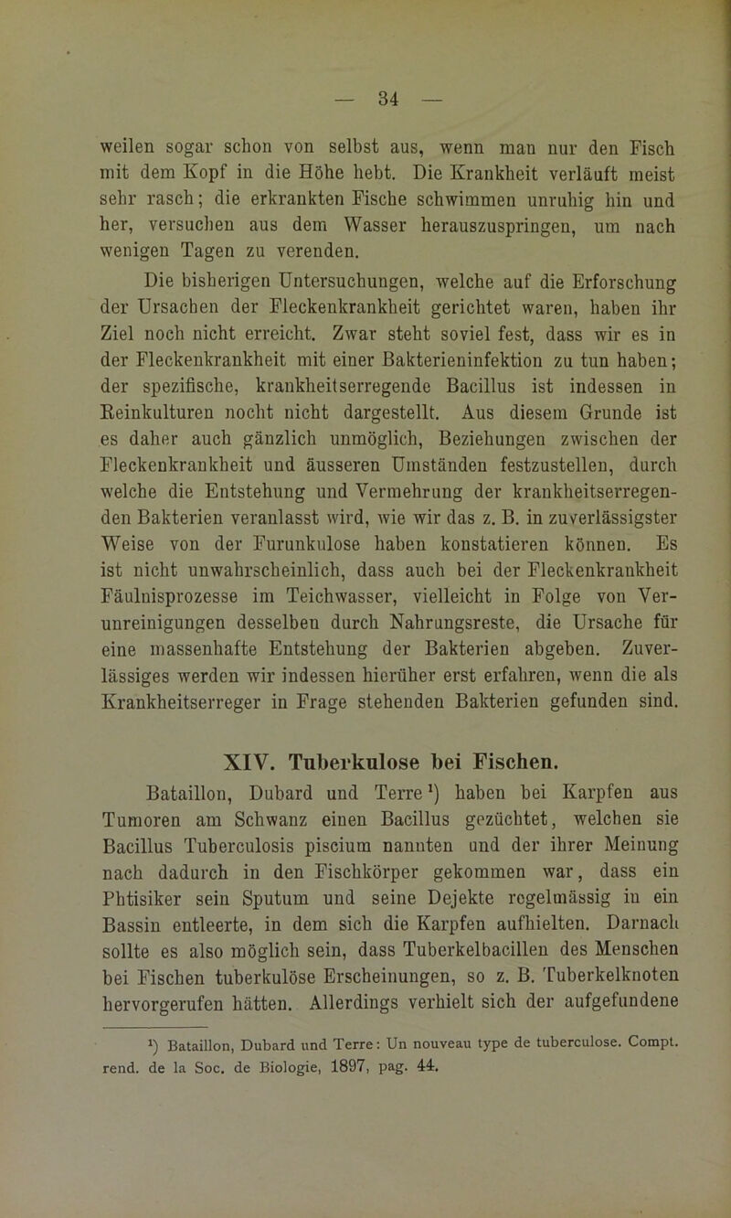 weilen sogar schon von selbst aus, wenn man nur den Fisch mit dem Kopf in die Höhe hebt. Die Krankheit verläuft meist sehr rasch; die erkrankten Fische schwimmen unruhig hin und her, versuchen aus dem Wasser herauszuspringen, um nach wenigen Tagen zu verenden. Die bisherigen Untersuchungen, welche auf die Erforschung der Ursachen der Fleckenkrankheit gerichtet waren, haben ihr Ziel noch nicht erreicht. Zwar steht soviel fest, dass wir es in der Fleckenkrankheit mit einer Bakterieninfektion zu tun haben; der spezifische, krankheitserregende Bacillus ist indessen in Keinkulturen nocht nicht dargestellt. Aus diesem Grunde ist es daher auch gänzlich unmöglich, Beziehungen zwischen der Fleckenkrankheit und äusseren Umständen festzustellen, durch welche die Entstehung und Vermehrung der krankheitserregen- den Bakterien veranlasst wird, wie wir das z. B. in zuverlässigster Weise von der Furunkulose haben konstatieren können. Es ist nicht unwahrscheinlich, dass auch bei der Fleckenkrankheit Fäulnisprozesse im Teichwasser, vielleicht in Folge von Ver- unreinigungen desselben durch Nahrungsreste, die Ursache für eine massenhafte Entstehung der Bakterien abgeben. Zuver- lässiges werden wir indessen hierüber erst erfahren, wenn die als Krankheitserreger in Frage stehenden Bakterien gefunden sind. XIV. Tuberkulose bei Fischen. Bataillon, Dubard und Terre *) haben bei Karpfen aus Tumoren am Schwanz einen Bacillus gezüchtet, welchen sie Bacillus Tuberculosis piscium nannten und der ihrer Meinung nach dadurch in den Fischkörper gekommen war, dass ein Phtisiker sein Sputum und seine Dejekte regelmässig in ein Bassin entleerte, in dem sich die Karpfen aufhielten. Darnach sollte es also möglich sein, dass Tuberkelbacillen des Menschen bei Fischen tuberkulöse Erscheinungen, so z. B. Tuberkelknoten hervorgerufen hätten. Allerdings verhielt sich der aufgefundene 1) Bataillon, Dubard und Terre: Un nouveau type de tuberculose. Compt. rend. de la Soc. de Biologie, 1897, pag. 44,