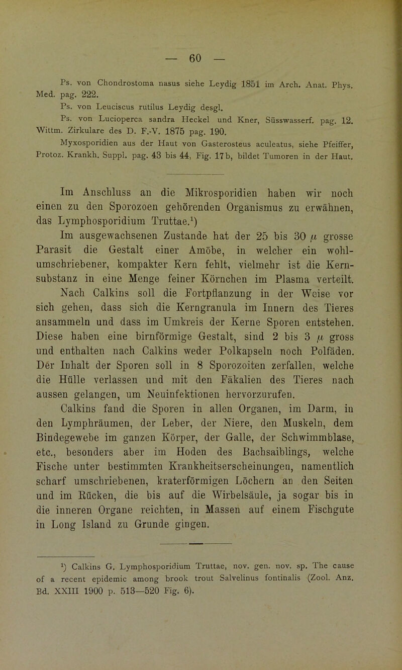 Ps. von Chondrostoma nasus siehe Leydig 1851 im Arch. Anat. Phys. Med. pag, 222. Ps. von Leuciscus rutilus Leydig desgl. Ps. von Lucioperca sandra Heckei und Kner, Süsswasserf. pag. 12. Wittm. Zirkulare des D. F.-V. 1875 pag. 190. Myxosporidien aus der Haut von Gasterosteus aculeatus, siehe Pfeiffer, Protoz. Krankh. Suppl. pag. 43 bis 44, Fig. l7b, bildet Tumoren in der Haut. Im Anschluss an die Mikrosporidien haben wir noch einen zu den Sporozoen gehörenden Organismus zu erwähnen, das Lymphosporidium Truttae.^) Im ausgewachsenen Zustande hat der 25 bis 30 grosse Parasit die Gestalt einer Amöbe, in welcher ein wohl- umschriebener, kompakter Kern fehlt, vielmehr ist die Kern- substanz in eine Menge feiner Körnchen im Plasma verteilt. Nach Calkins soll die Fortpflanzung in der Weise vor sich gehen, dass sich die Kerngranula im Innern des Tieres ansammeln und dass im Umkreis der Kerne Sporen entstehen. Diese haben eine bimförmige Gestalt, sind 2 bis 3 gross und enthalten nach Calkins weder Polkapseln noch Polfäden. Der Inhalt der Sporen soll in 8 Sporozoiten zerfallen, welche die Hülle verlassen und mit den Fäkalien des Tieres nach aussen gelangen, um Neuinfektionen hervorzurufeu. Calkins fand die Sporen in allen Organen, im Darm, in den Lymphräumen, der Leber, der Niere, den Muskeln, dem Bindegewebe im ganzen Körper, der Galle, der Schwimmblase, etc., besonders aber im Hoden des Bachsaiblings, welche Fische unter bestimmten Krankheitserscheinungen, namentlich scharf umschriebenen, kraterförmigen Löchern an den Seiten und im Rücken, die bis auf die Wirbelsäule, ja sogar bis in die inneren Organe reichten, in Massen auf einem Fischgute in Long Island zu Grunde gingen. *) Calkins G. Lymphosporidium Truttae, nov. gen. nov. sp. The cause of a recent epidemic among brook trout Salvelinus fontinalis (Zool. Anz. Bd. XXIII 1900 p. 513—520 Fig. 6).