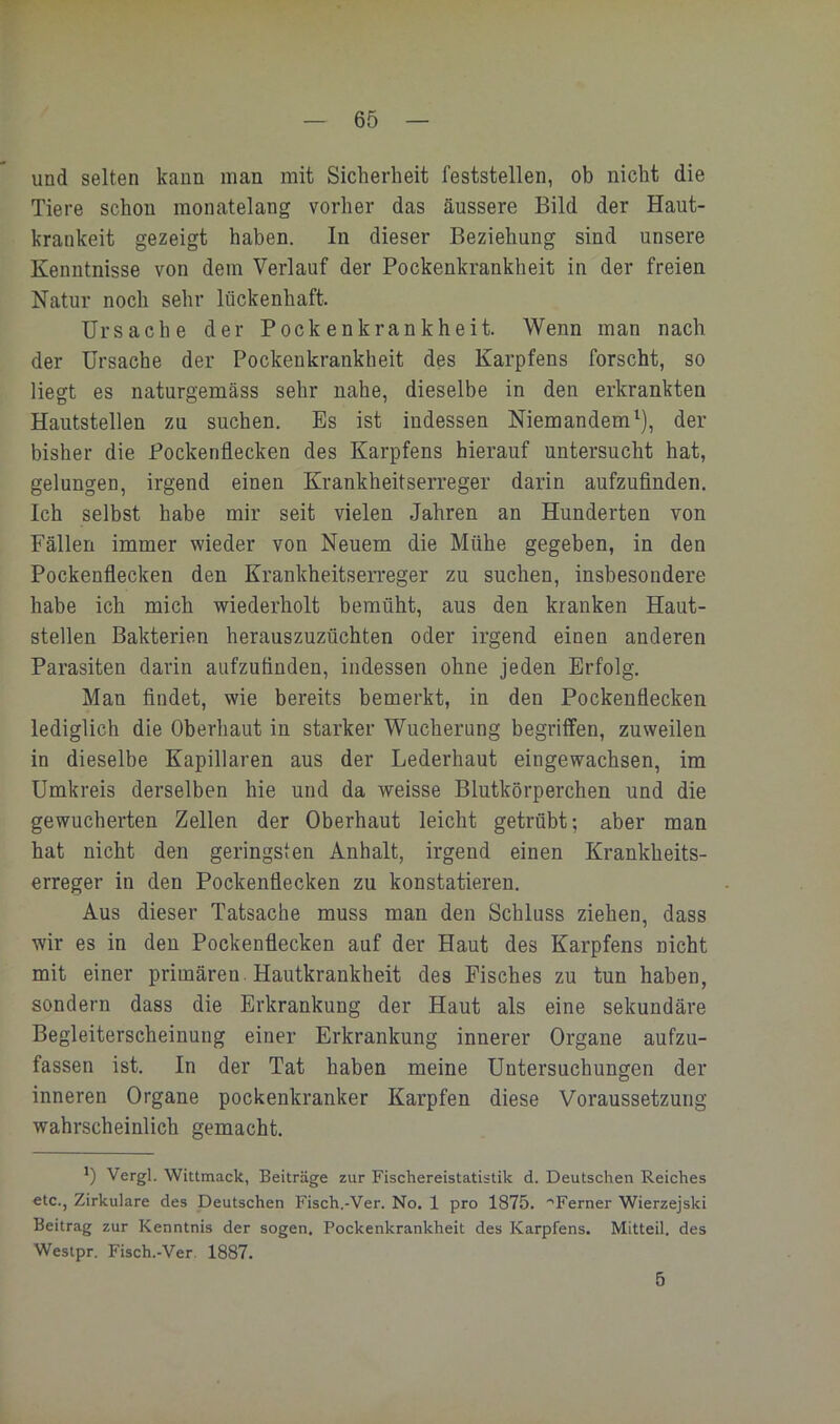 und selten kann inan mit Sicherheit feststellen, ob nicht die Tiere schon monatelang vorher das äussere Bild der Haut- krankeit gezeigt haben. In dieser Beziehung sind unsere Kenntnisse von dem Verlauf der Pockenkrankheit in der freien Natur noch sehr lückenhaft. Ursache der Pockenkrankheit. Wenn man nach der Ursache der Pockenkrankheit des Karpfens forscht, so liegt es naturgemäss sehr nahe, dieselbe in den erkrankten Hautstellen zu suchen. Es ist indessen Niemandem^), der bisher die Pockenflecken des Karpfens hierauf untersucht hat, gelungen, irgend einen Krankheitserreger darin aufzufinden. Ich selbst habe mir seit vielen Jahren an Hunderten von Fällen immer wieder von Neuem die Mühe gegeben, in den Pockenflecken den Krankheitserreger zu suchen, insbesondere habe ich mich wiederholt bemüht, aus den kranken Haut- stellen Bakterien herauszuzüchten oder irgend einen anderen Parasiten darin aufzuflnden, indessen ohne jeden Erfolg. Man findet, wie bereits bemerkt, in den Pockenflecken lediglich die Oberhaut in starker Wucherung begriffen, zuweilen in dieselbe Kapillaren aus der Lederhaut eingewachsen, im Umkreis derselben hie und da weisse Blutkörperchen und die gewucherten Zellen der Oberhaut leicht getrübt; aber man hat nicht den geringsten Anhalt, irgend einen Krankheits- erreger in den Poekenflecken zu konstatieren. Aus dieser Tatsache muss man den Schluss ziehen, dass wir es in den Pockenflecken auf der Haut des Karpfens nicht mit einer primären . Hautkrankheit des Fisches zu tun haben, sondern dass die Erkrankung der Haut als eine sekundäre Begleiterscheinung einer Erkrankung innerer Organe aufzu- fassen ist. In der Tat haben meine Untersuchungen der inneren Organe pockenkranker Karpfen diese Voraussetzung wahrscheinlich gemacht. 0 Vergl. Wittmack, Beiträge zur Fischereistatistik d. Deutschen Reiches etc., Zirkulare des Deutschen Fisch.-Ver. No. 1 pro 1875. 'Ferner Wierzejski Beitrag zur Kenntnis der sogen. Pockenkrankheit des Karpfens. Mitteil, des Weslpr. Fisch.-Ver. 1887. 5