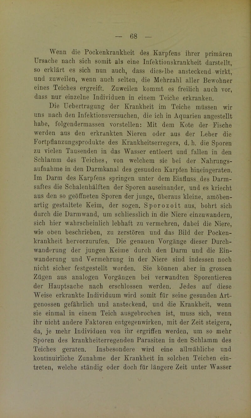 Wenn die Pockenkranklieit des Karpfens ihrer primären Ursache nach sich somit als eine Infektionskrankheit darstellt, so erklärt es sich nun auch, dass dieselbe ansteckend wirkt, und zuweilen, wenn auch selten, die Mehrzahl aller Bewohner eines Teiches ergreift. Zuweilen kommt es freilich auch vor, dass nur einzelne Individuen in einem Teiche erkranken. Die Uebertragung der Krankheit im Teiche müssen wir uns nach den Infektionsversuchen, die ich in Aquarien angestellt habe, folgendermassen vorstellen: Mit dem Kote der Fische werden aus den erkrankten Nieren oder aus der Leber die Fortpflanzungsprodukte des Krankheitserregers, d. h. die Sporen zu vielen Tausenden in das Wasser entleert und fallen in den Schlamm des Teiches, von welchem sie bei der Nahrungs- aufnahme in den Darmkanal des gesunden Karpfen hineingeraten. Im Darm des Karpfens springen unter dem Einfluss des Darm- saftes die Schalenhälften der Sporen auseinander, und es kriecht aus den so geöffneten Sporen der junge, überaus kleine, amöben- arlig gestaltete Keim, der sogen. Sporozoit aus, bohrt sich durch die Darmwand, um schliesslich in die Niere einzuwandern, sich hier wahrscheinlich lebhaft zu vermehren, dabei die Niere, wie oben beschrieben, zu zerstören und das Bild der Pocken- krankheit hervorzurufen. Die genauen Vorgänge dieser Durch- wanderung der jungen Keime durch den Darm und die Ein- wanderung und Vermehrung in der Niere sind indessen noch nicht sicher festgestellt worden. Sie können aber in grossen Zügen aus analogen Vorgängen bei verwandten Sporentieren der Hauptsache nach erschlossen werden. Jedes auf diese Weise erkrankte Individuum wird somit für seine gesunden Art- genossen gefährlich und ansteckend, und die Krankheit, wenn sie einmal in einem Teich ausgebrochen ist, muss sich, wenn ihr nicht andere Faktoren entgegeiiwirken, mit der Zeit steigern, da, je mehr Individuen von ihr ergriffen werden, um so mehr Sporen des krankheiterregenden Parasiten in den Schlamm des Teiches geraten. Insbesondere wird eine allmähliche und kontinuirliche Zunahme der Krankheit in solchen Teichen ein- treten, welche ständig oder doch für längere Zeit unter Wasser