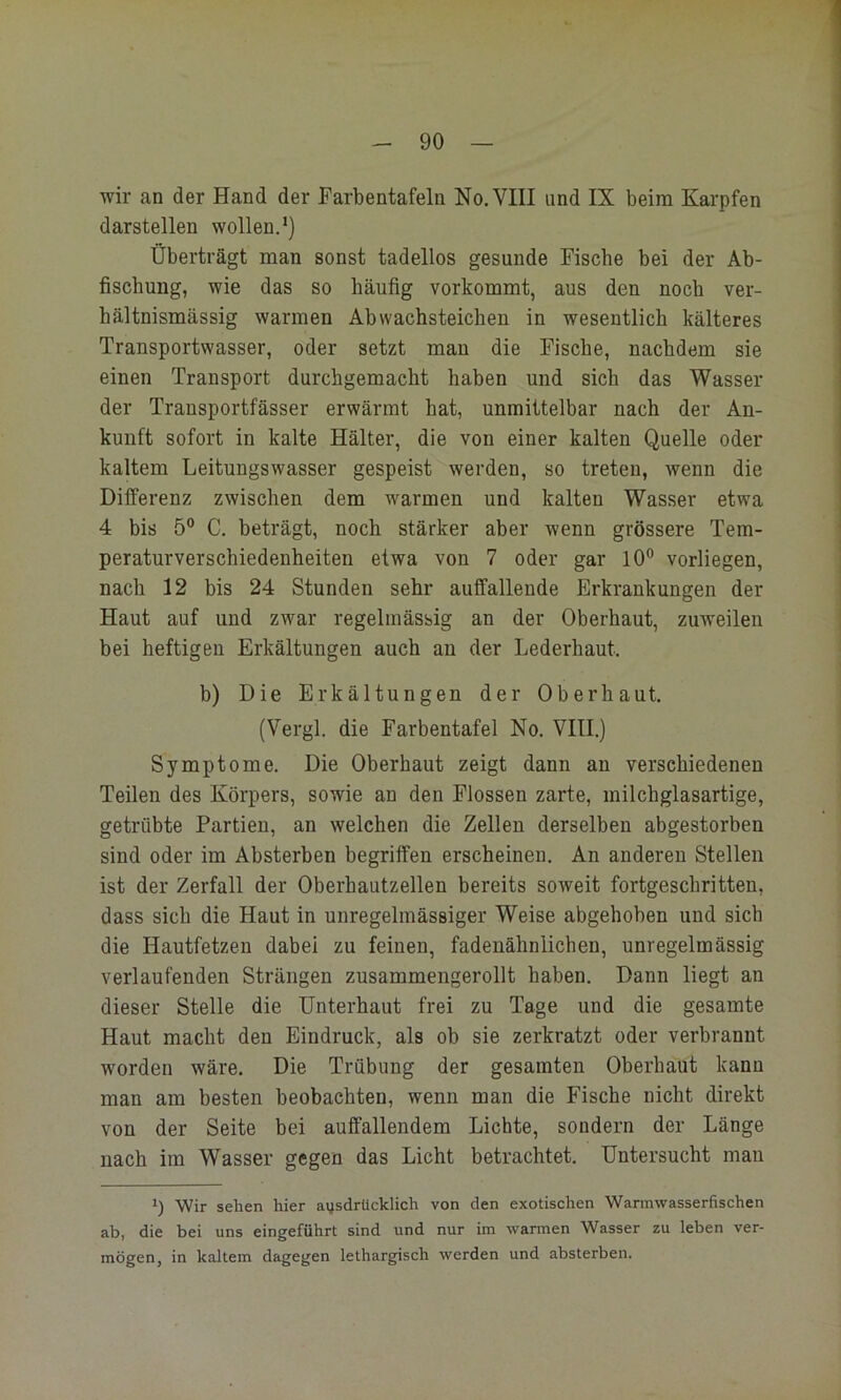 wir an der Hand der Farbentafeln No. VIII und IX beim Karpfen darstellen wollen.*) Überträgt man sonst tadellos gesunde Fische bei der Ab- fischung, wie das so häufig vorkommt, aus den noch ver- hältnismässig warmen Abwachsteichen in wesentlich kälteres Transportwasser, oder setzt man die Fische, nachdem sie einen Transport durchgemacht haben und sich das Wasser der Transportfässer erwärmt hat, unmittelbar nach der An- kunft sofort in kalte Hälter, die von einer kalten Quelle oder kaltem Leitungswasser gespeist werden, so treten, wenn die Differenz zwischen dem warmen und kalten Wasser etwa 4 bis 5° C. beträgt, noch stärker aber wenn grössere Tem- peraturverschiedenheiten etwa von 7 oder gar 10° vorliegen, nach 12 bis 24 Stunden sehr auffallende Erkrankungen der Haut auf und zwar regelmässig an der Oberhaut, zuweilen bei heftigen Erkältungen auch au der Lederhaut. b) Die Erkältungen der Oberhaut. (Vergl. die Farbentafel No. VIII.) Symptome. Die Oberhaut zeigt dann an verschiedenen Teilen des Körpers, sowie an den Flossen zarte, milchglasartige, getrübte Partien, an welchen die Zellen derselben abgestorben sind oder im Absterben begriffen erscheinen. An anderen Stellen ist der Zerfall der Oberhautzellen bereits soweit fortgeschritten, dass sich die Haut in unregelmässiger Weise abgehoben und sich die Hautfetzen dabei zu feinen, fadenähnlichen, unregelmässig verlaufenden Strängen zusammengerollt haben. Dann liegt an dieser Stelle die Unterhaut frei zu Tage und die gesamte Haut macht den Eindruck, als ob sie zerkratzt oder verbrannt worden wäre. Die Trübung der gesamten Oberhaut kann man am besten beobachten, wenn man die Fische nicht direkt von der Seite bei auffallendem Lichte, sondern der Länge nach im Wasser gegen das Licht betrachtet. Untersucht man *) Wir sehen hier ausdrücklich von den exotischen Warmwasserfischen ab, die bei uns eingeführt sind und nur im warmen Wasser zu leben ver- mögen, in kaltem dagegen lethargisch werden und absterben.