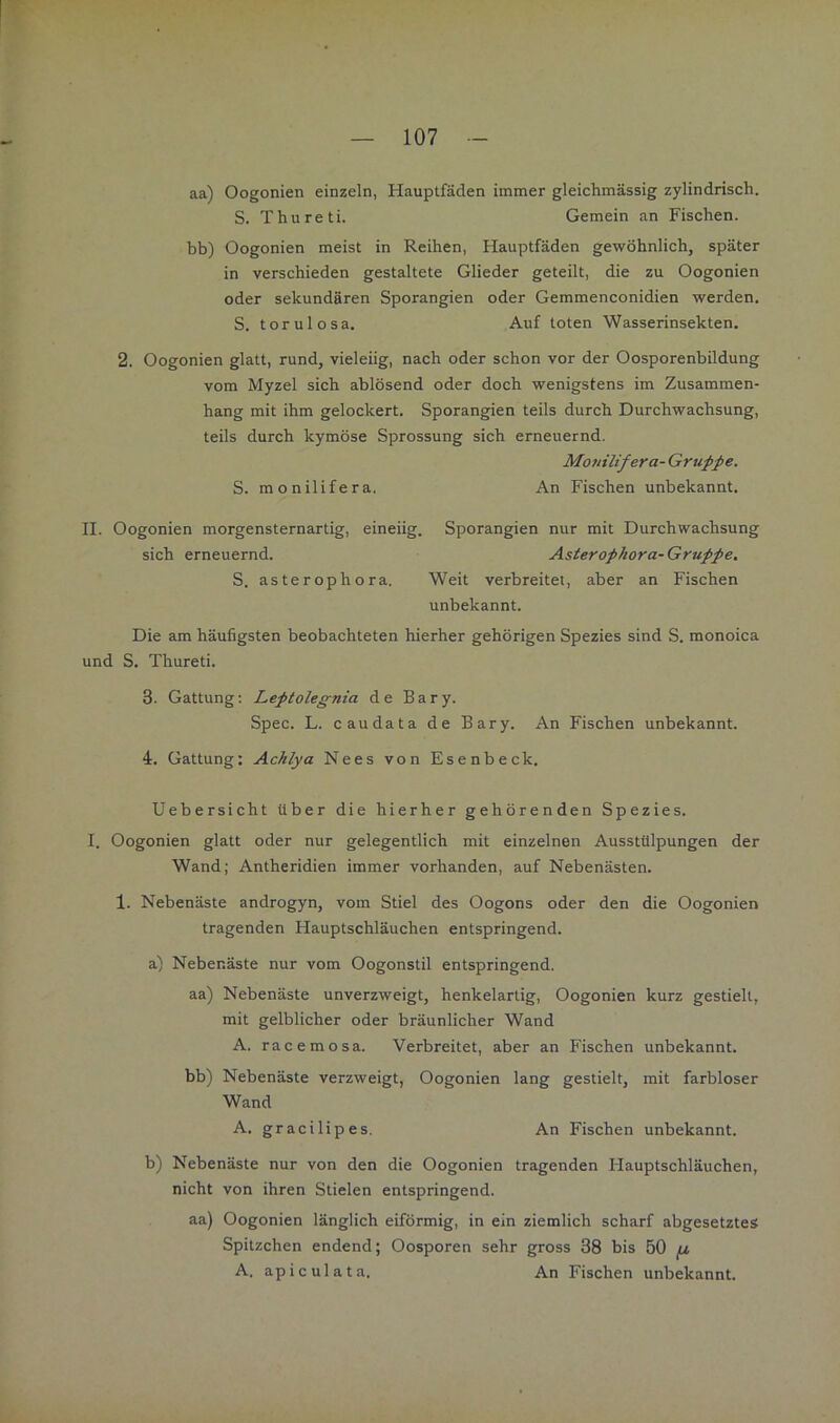 aa) Oogonien einzeln, Hauptfäden immer gleichmässig zylindrisch. S. Thureti. Gemein an Fischen, bb) Oogonien meist in Reihen, Hauptfäden gewöhnlich, später in verschieden gestaltete Glieder geteilt, die zu Oogonien oder sekundären Sporangien oder Gemmenconidien werden. S. torulosa. Auf toten Wasserinsekten. 2. Oogonien glatt, rund, vieleiig, nach oder schon vor der Oosporenbildung vom Myzel sich ablösend oder doch wenigstens im Zusammen- hang mit ihm gelockert. Sporangien teils durch Durchwachsung, teils durch kymöse Sprossung sich erneuernd. Mo7iilifera- Gruppe. S. monilifera. An Fischen unbekannt. II. Oogonien morgensternartig, eineiig. Sporangien nur mit Durchwachsung sich erneuernd. Asterophora- Gruppe. S. asterophora. Weit verbreitet, aber an Fischen unbekannt. Die am häufigsten beobachteten hierher gehörigen Spezies sind S. monoica und S. Thureti. 3. Gattung: Leptoleg-nia de Bary. Spec. L. c au data de Bary. An Fischen unbekannt. 4. Gattung: Achlya Nees von Esenbeck. Uebersicht über die hierher gehörenden Spezies. I. Oogonien glatt oder nur gelegentlich mit einzelnen Ausstülpungen der Wand; Antheridien immer vorhanden, auf Nebenästen. 1. Nebenäste androgyn, vom Stiel des Oogons oder den die Oogonien tragenden Hauptschläuchen entspringend. a) Nebenäste nur vom Oogonstil entspringend. aa) Nebenäste unverzweigt, henkelartig, Oogonien kurz gestielt, mit gelblicher oder bräunlicher Wand A. racemosa. Verbreitet, aber an Fischen unbekannt. bb) Nebenäste verzweigt, Oogonien lang gestielt, mit farbloser Wand A. gracilipes. An Fischen unbekannt. b) Nebenäste nur von den die Oogonien tragenden Hauptschläuchen, nicht von ihren Stielen entspringend. aa) Oogonien länglich eiförmig, in ein ziemlich scharf abgesetztes Spitzchen endend; Oosporen sehr gross 38 bis 50 ^ A. apiculata. An Fischen unbekannt.