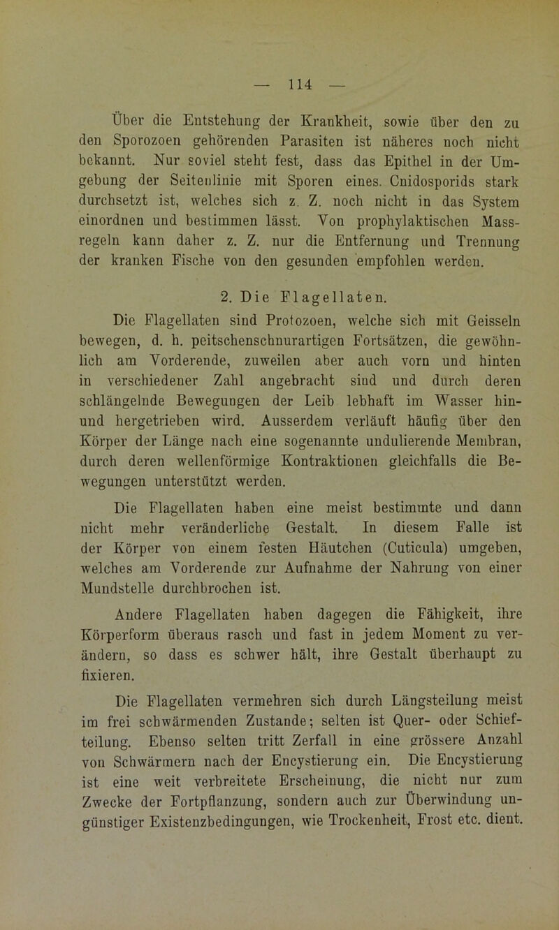 Über die Entstehung der Krankheit, sowie über den zu den Sporozoen gehörenden Parasiten ist näheres noch nicht bekannt. Nur soviel steht fest, dass das Epithel in der Um- gebung der Seitenlinie mit Sporen eines. Cnidosporids stark durchsetzt ist, welches sich z. Z. noch nicht in das System einordnen und bestimmen lässt. Von prophylaktischen Mass- regeln kann daher z. Z. nur die Entfernung und Trennung der kranken Eische von den gesunden empfohlen werden. 2. Die Flagellaten. Die Flagellaten sind Protozoen, welche sich mit Geissein bewegen, d. h. peitschenschnurartigen Fortsätzen, die gewöhn- lich am Vorderende, zuweilen aber auch vorn und hinten in verschiedener Zahl angebracht sind und durch deren schlängelnde Bewegungen der Leib lebhaft im Wasser hin- und hergetrieben wird. Ausserdem verläuft häufig über den Körper der Länge nach eine sogenannte undulierende Membran, durch deren wellenförmige Kontraktionen gleichfalls die Be- wegungen unterstützt werden. Die Flagellaten haben eine meist bestimmte und dann nicht mehr veränderliche Gestalt. In diesem Falle ist der Körper von einem festen Häutchen (Cuticula) umgeben, welches am Vorderende zur Aufnahme der Nahrung von einer Mundstelle durchbrochen ist. Andere Flagellaten haben dagegen die Fähigkeit, ihre Körperform überaus rasch und fast in jedem Moment zu ver- ändern, so dass es schwer hält, ihre Gestalt überhaupt zu fixieren. Die Flagellaten vermehren sich durch Längsteilung meist im frei schwärmenden Zustande; selten ist Quer- oder Schief- teilung. Ebenso selten tritt Zerfall in eine grössere Anzahl von Schwärmern nach der Encystierung ein. Die Encystierung ist eine weit verbreitete Erscheinung, die nicht nur zum Zwecke der Fortpflanzung, sondern auch zur Überwindung un- günstiger Existenzbedingungen, wie Trockenheit, Frost etc. dient.