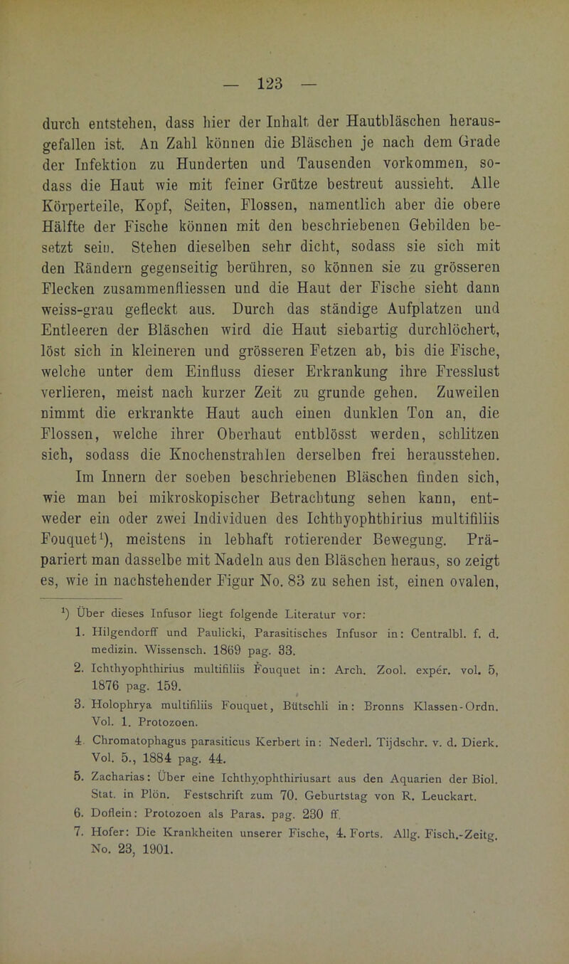 durch entstehen, dass hier der Inhalt, der Hautbläschen heraus- gefallen ist. An Zahl können die Bläschen je nach dem Grade der Infektion zu Hunderten und Tausenden verkommen, so- dass die Haut wie mit feiner Grütze bestreut aussieht. Alle Körperteile, Kopf, Seiten, Flossen, namentlich aber die obere Hälfte der Fische können mit den beschriebenen Gebilden be- setzt sein, Stehen dieselben sehr dicht, sodass sie sich mit den Bändern gegenseitig berühren, so können sie zu grösseren Flecken zusammeniliessen und die Haut der Fische sieht dann weiss-grau gefleckt aus. Durch das ständige Aufplatzen und Entleeren der Bläschen wird die Haut siebartig durchlöchert, löst sich in kleineren und grösseren Fetzen ab, bis die Fische, welche unter dem Einfluss dieser Erkrankung ihre Fresslust verlieren, meist nach kurzer Zeit zu gründe gehen. Zuweilen nimmt die erkrankte Haut auch einen dunklen Ton an, die Flossen, welche ihrer Oberhaut entblösst werden, schlitzen sich, sodass die Knochenstrahlen derselben frei herausstehen. Im Innern der soeben beschriebenen Bläschen finden sich, wie man bei mikroskopischer Betrachtung sehen kann, ent- weder ein oder zwei Individuen des Ichthyophthirius multifiliis Fouqiiet^), meistens in lebhaft rotierender Bewegung, Prä- pariert man dasselbe mit Nadeln aus den Bläschen heraus, so zeigt es, wie in nachstehender Figur No, 83 zu sehen ist, einen ovalen, über dieses Infusor liegt folgende Literatur vor: 1. Hilgendorff und Paulicki, Parasitisches Infusor in: Centralbl, f, d, medizin, Wissensch, 1869 pag. 33, 2. Ichthyophthirius multifiliis Fouquet in: Arch, Zool, exper, vol. 5, 1876 pag. 159, 3. Holophrya multifiliis Fouquet, Bütschli in: Bronns Klassen-Ordn, Vol, 1. Protozoen. 4:. Chromatophagus parasiticus Kerbert in; Nederl, Tijdschr, v. d, Dierk, Vol, 5,, 1884 pag, 44, 5. Zacharias: Uber eine Ichthypphthiriusart aus den Aquarien der Biol. Stat, in Plön, Festschrift zum 70. Geburtstag von R. Leuckart. 6. Doflein: Protozoen als Paras. pag. 230 ff. 7. Hofer: Die Krankheiten unserer Fische, 4. Forts. Allg. Fisch.-Zeitg. No. 23, 1901.