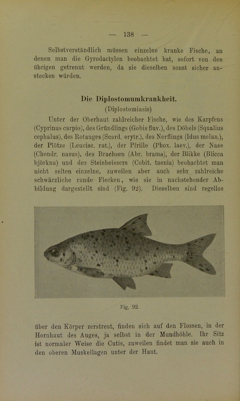 Selbstverständlich müssen einzelne kranke Fische, an denen man die Gyrodactylen beobachtet hat, sofort von den übrigen getrennt werden, da sie dieselben sonst sicher an- stecken würden. Die Diplostoimiinkrankheit. (Diplostomiasis) Unter der Oberhaut zahlreicher Fische, wie des Karpfens (Cyprinus carpio), des Gründlings (Gobis fluv.), des Döbels (Squalius cepbalus), des Rotauges (Scard. erytr.), des Nerflings (Idus melan.), der Plötze (Leucisc. rut,), der Pfrille (Phox. laev.), der Nase (Chondr. nasus), des Brachsen (Abr. brama), der Blikke (Blicca björkna) und des Steinbeissers (Cobit. taenia) beobachtet man nicht selten einzelne, zuweilen aber auch sehr zahlreiche schwärzliche runde Flecken, wie sie in nachstehender Ab- bildung dargestellt sind (Fig. 92). Dieselben sind regellos Fig. 92. über den Körper zerstreut, finden sich auf den Flossen, in der Hornhaut des Auges, ja selbst in der Mundhöhle. Ihr Sitz ist normaler Weise die Cutis, zuweilen findet man sie auch in den oberen Muskellagen unter der Haut.